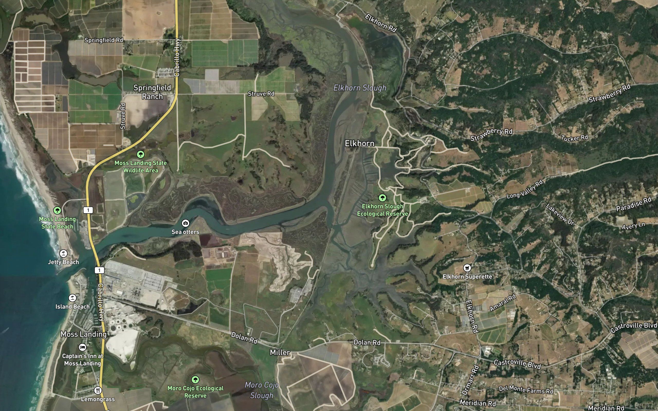 Parsons Slough