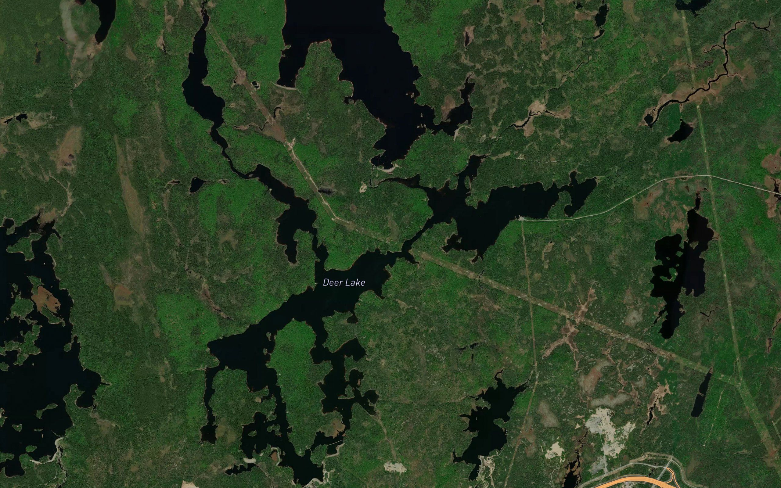 Deer Lake