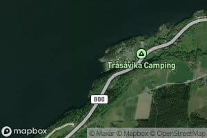 Trasavika
