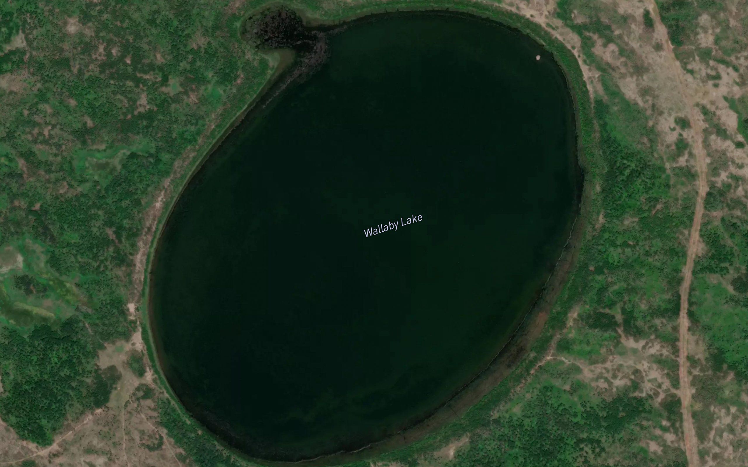 Wallaby Lake