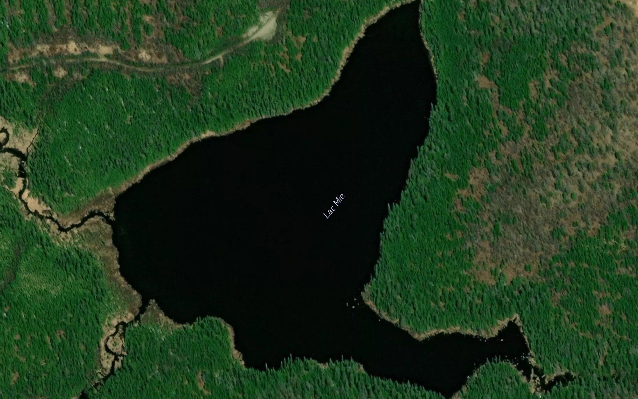 Lac Mie