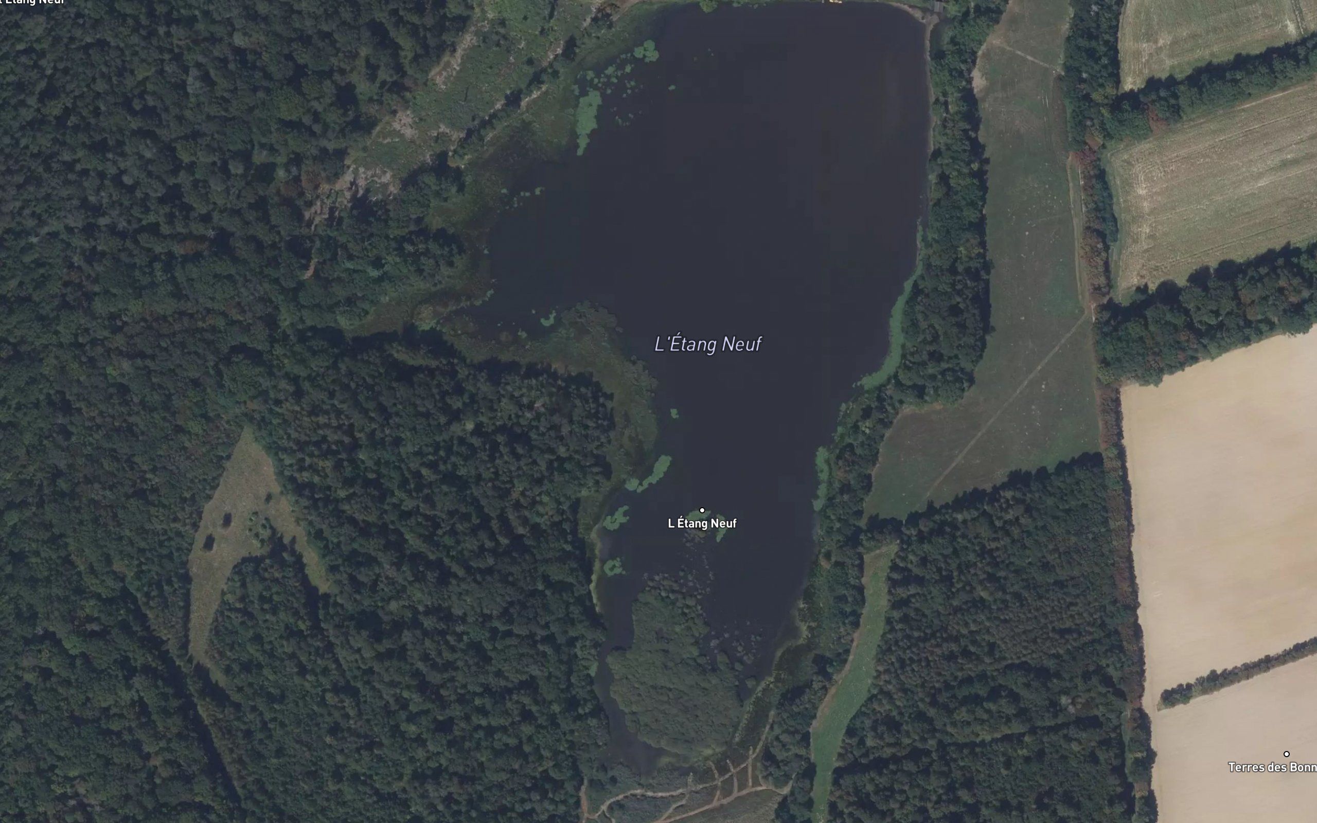 Etang Neuf