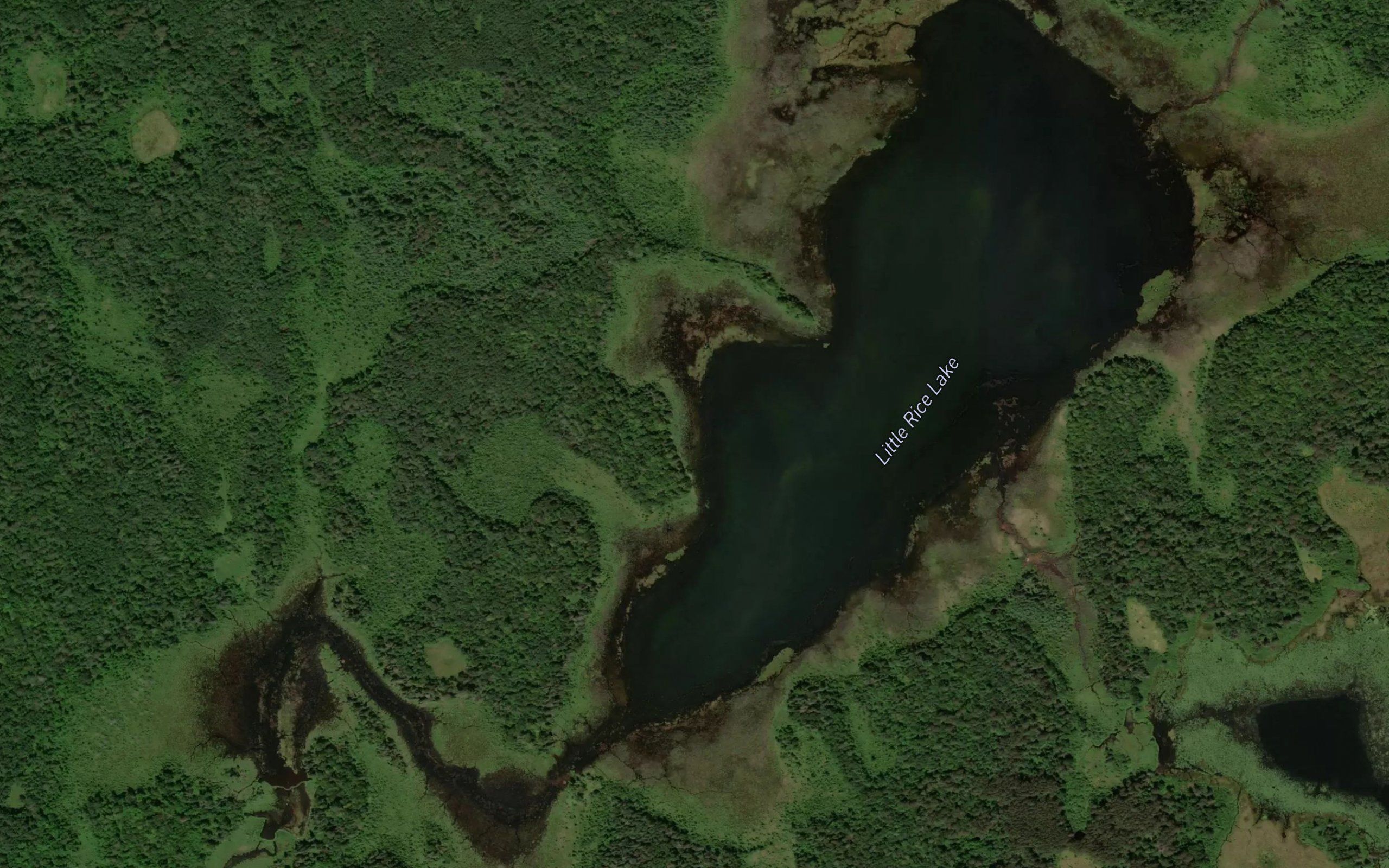 Little Rice Lake