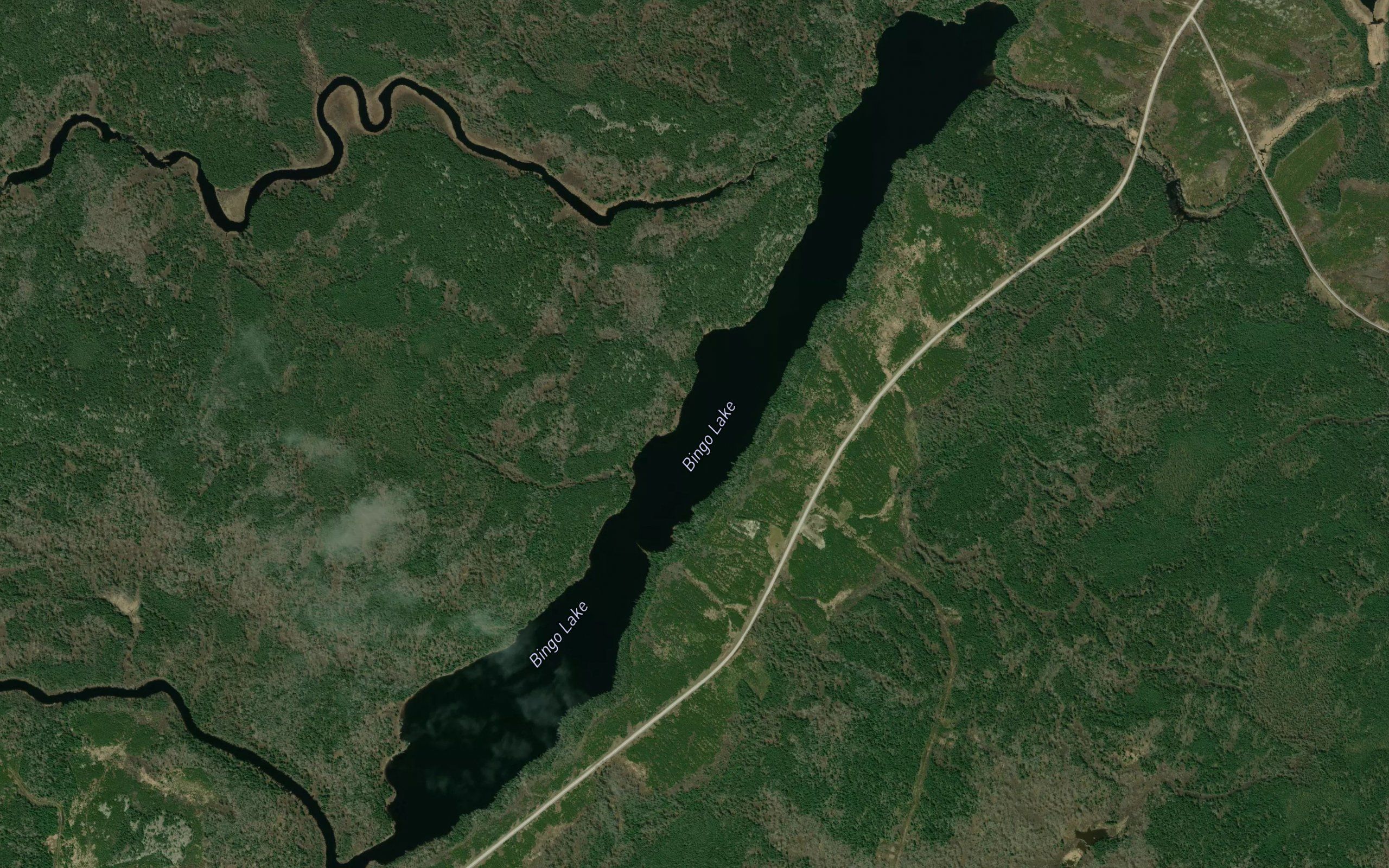 Bingo Lake