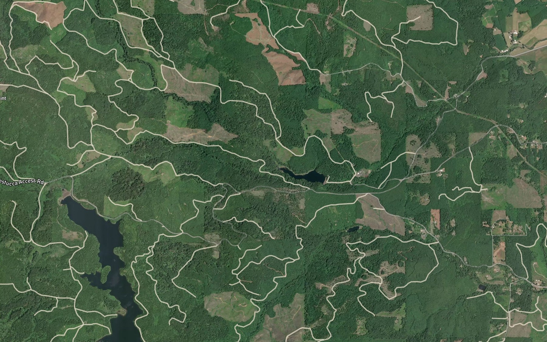 Satellite map of the Idlewild Creek
