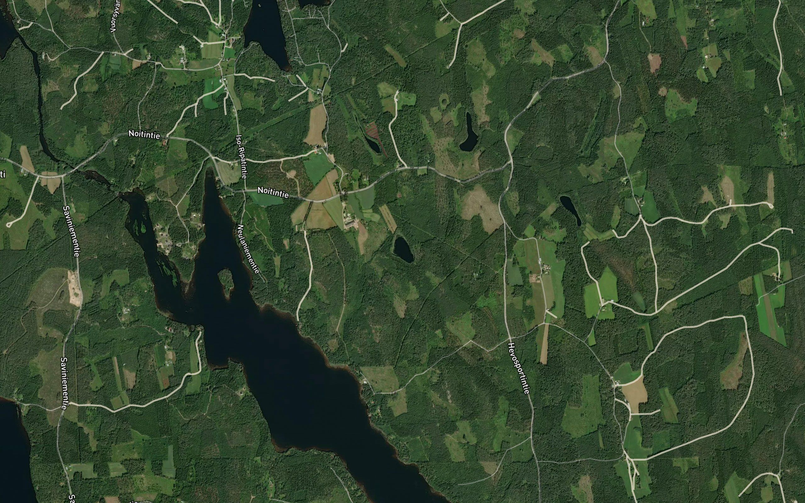 Koivulampi