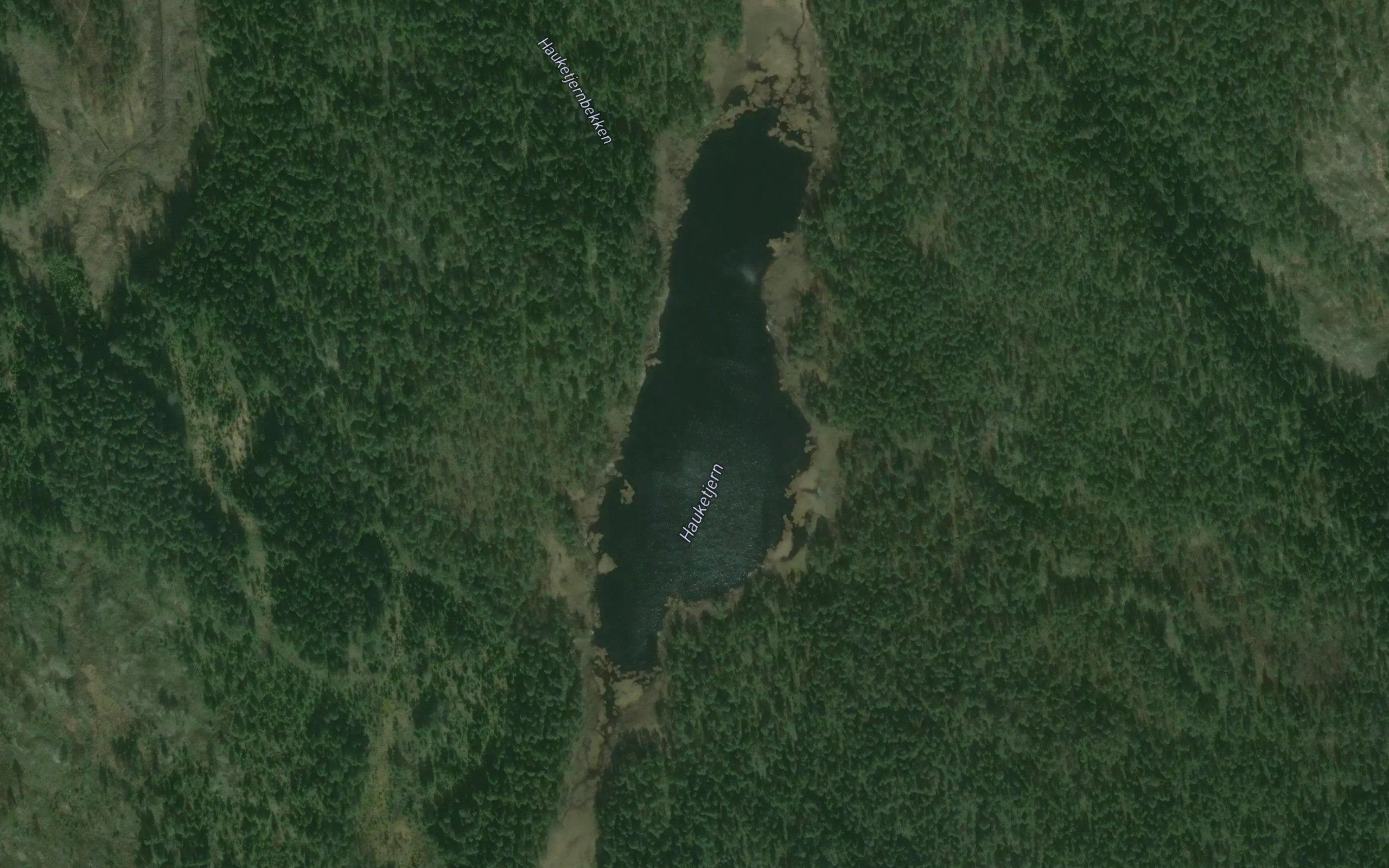 Hauketjern