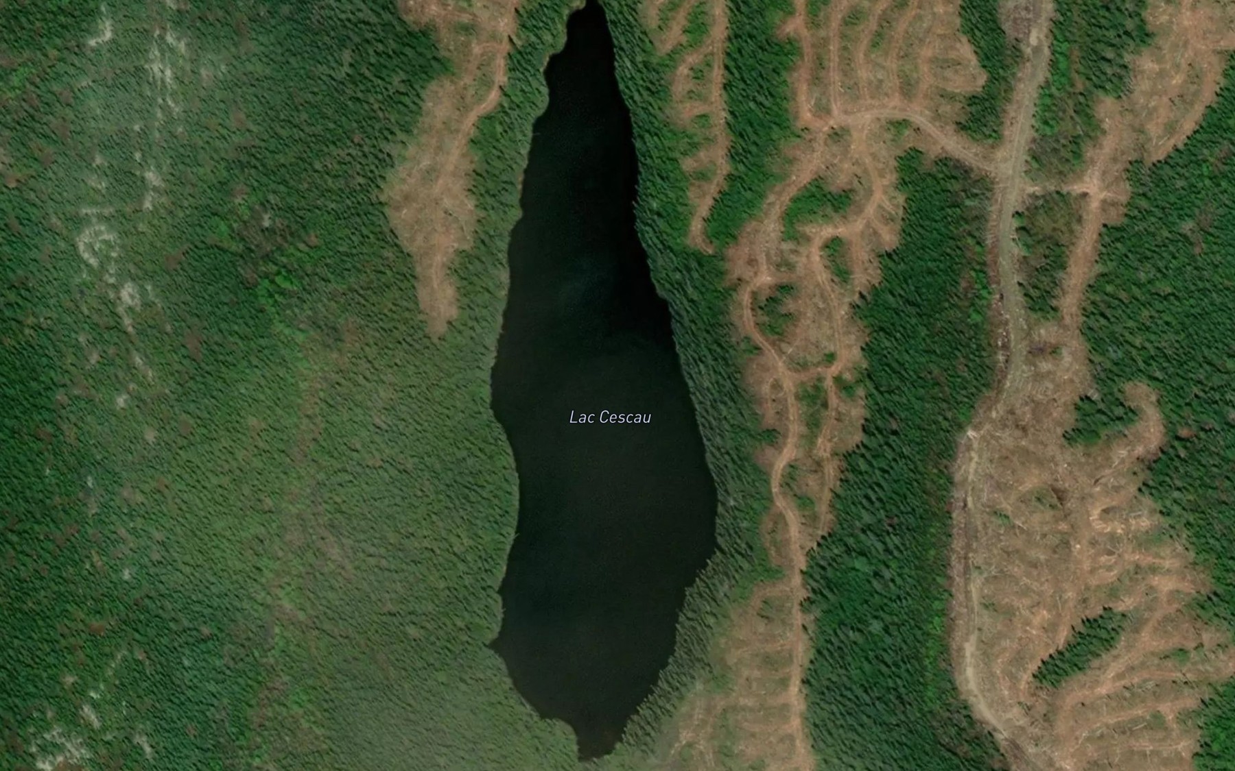 Satellite map of the Lac Cescau
