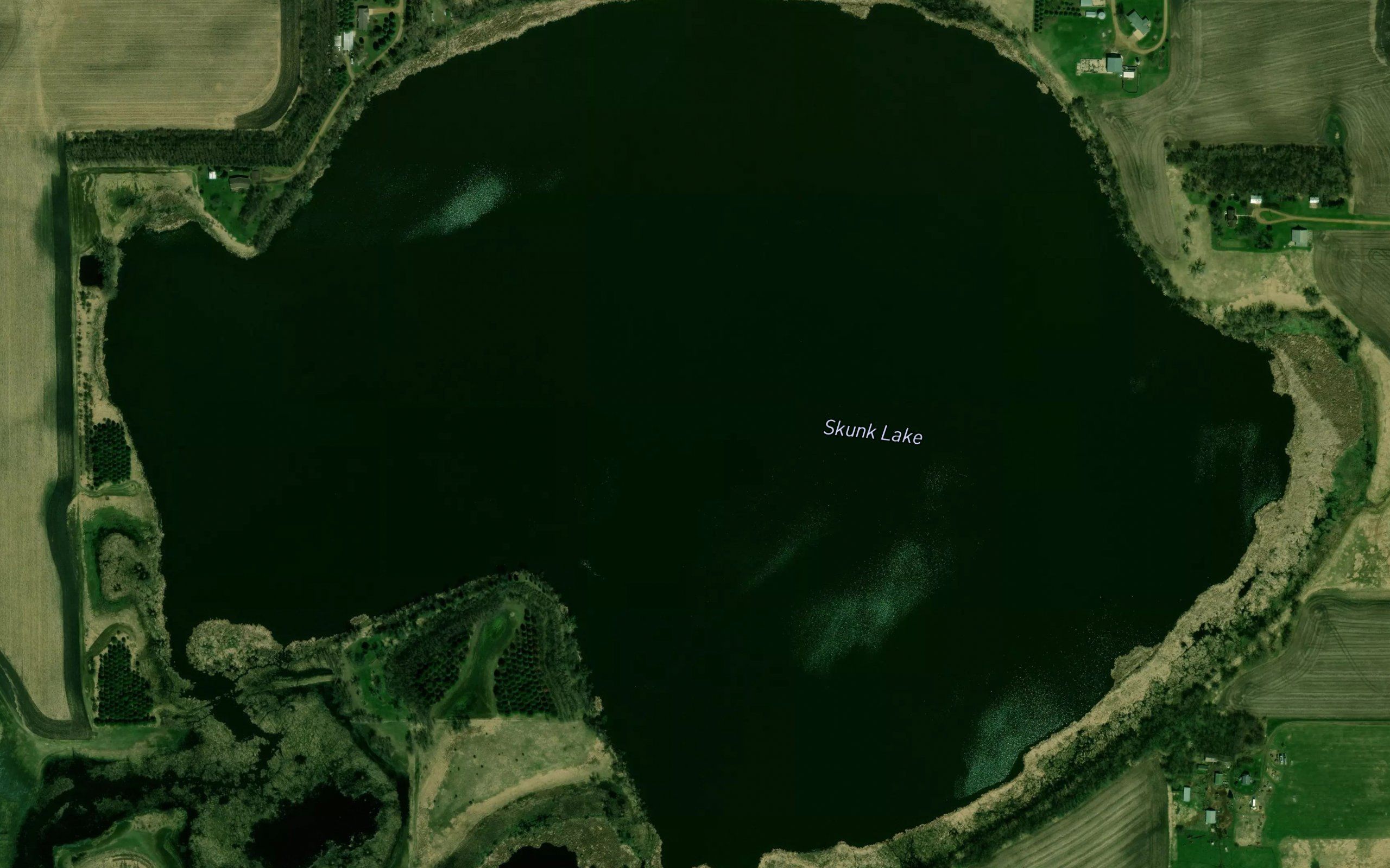 Skunk Lake
