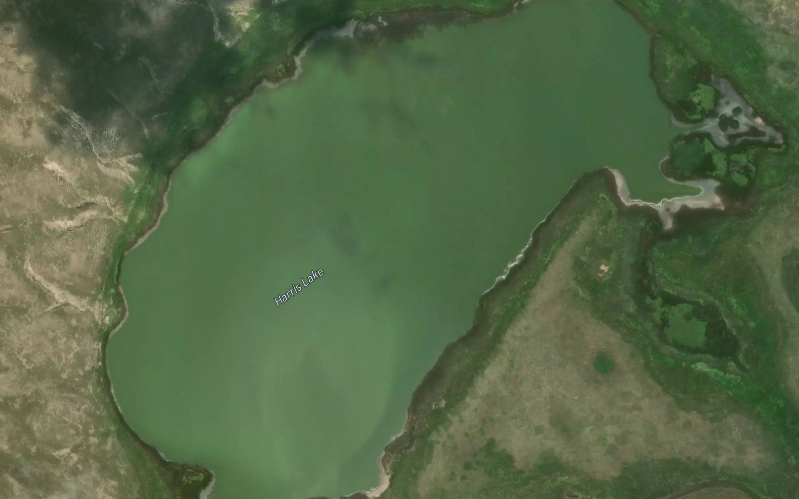 Harris Lake