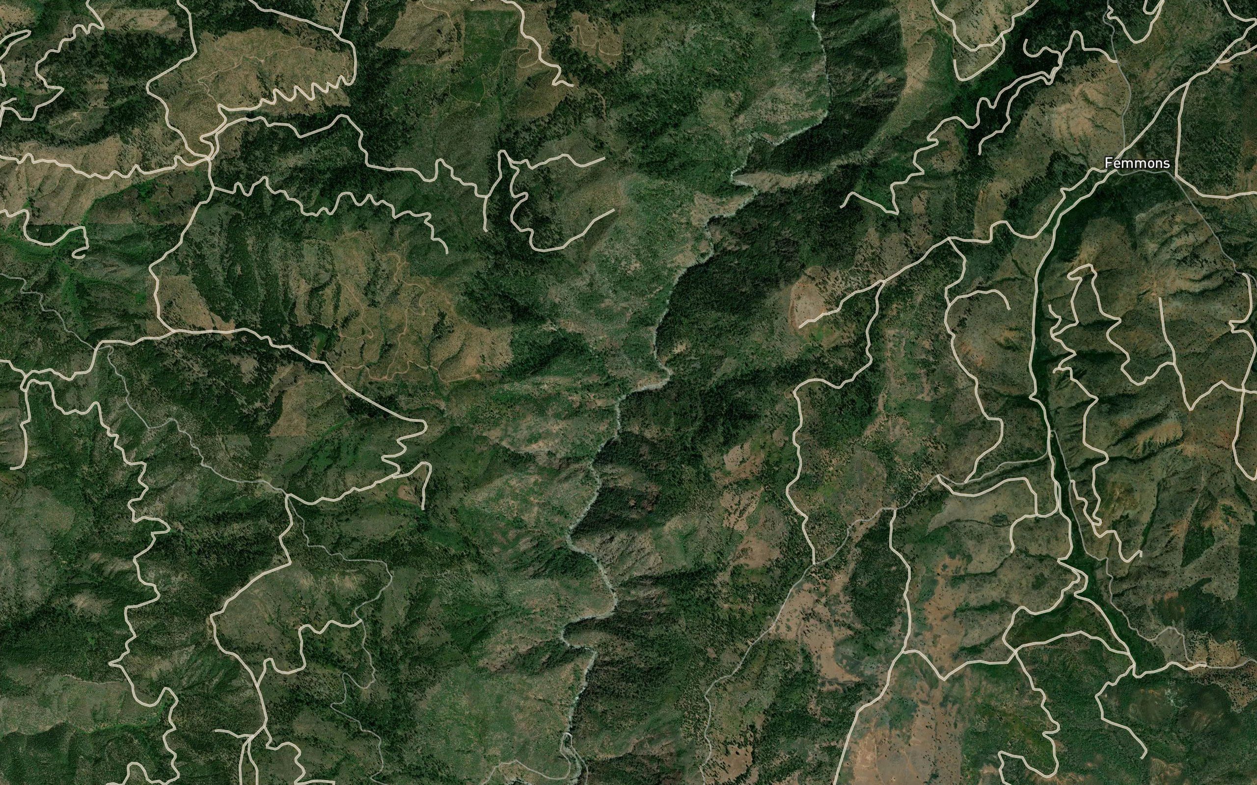 Bear Springs Creek