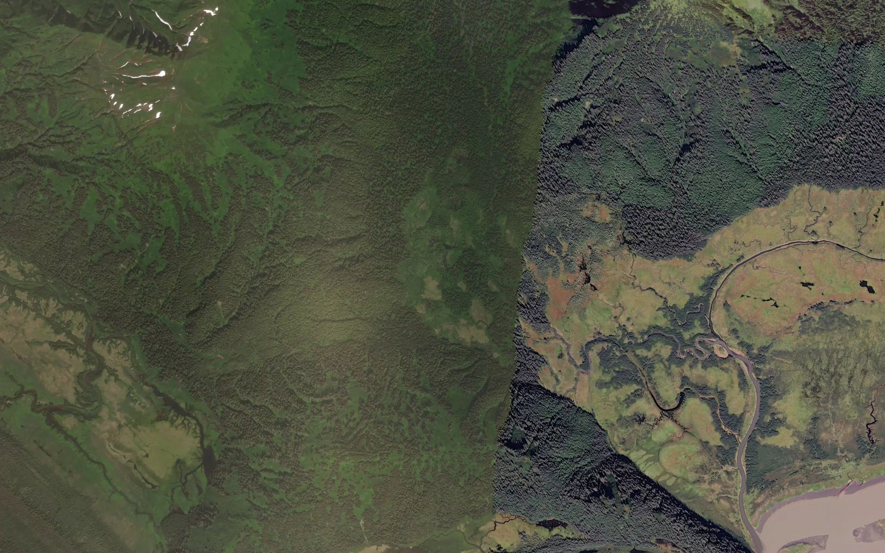 Satellite map of the Mitcher Creek