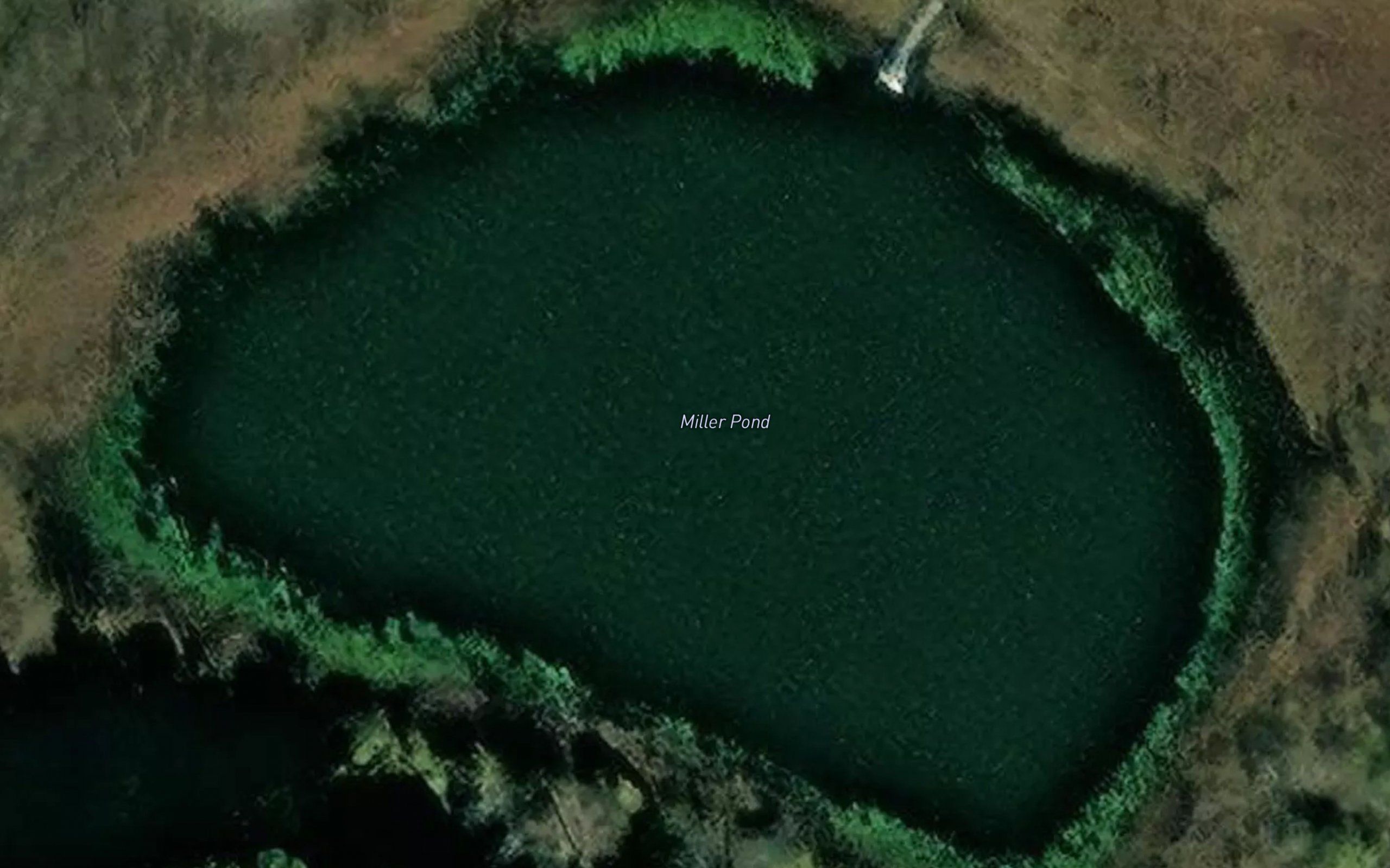 Miller Pond