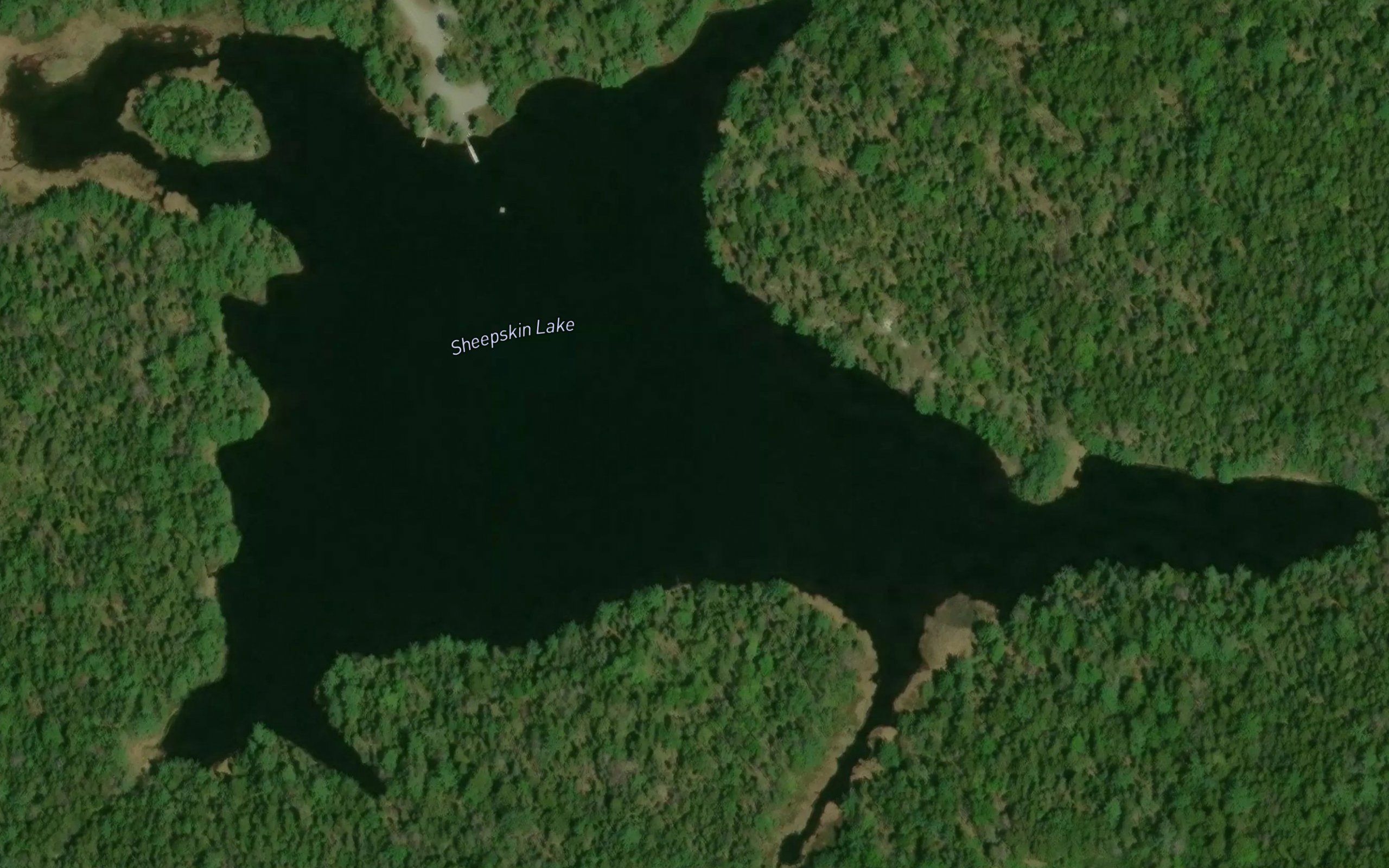 Sheepskin Lake