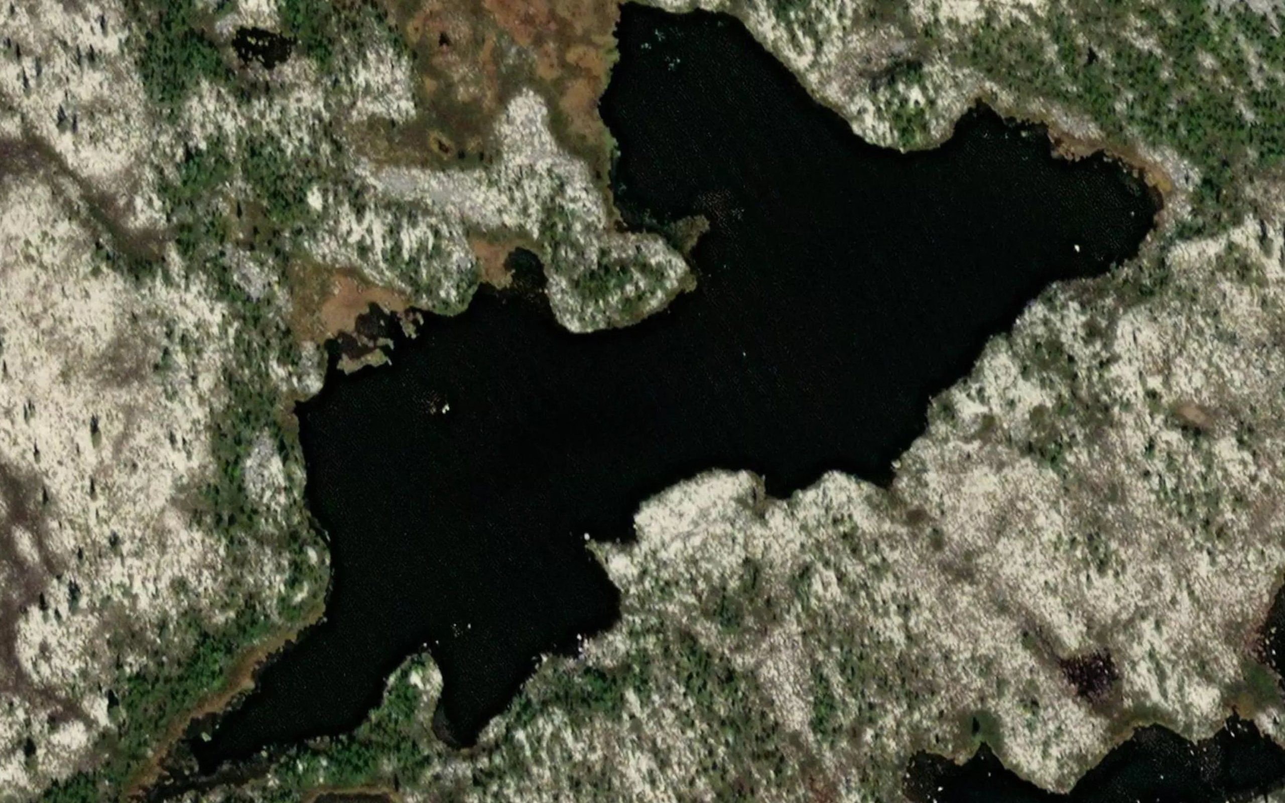 Brennvordtjorna
