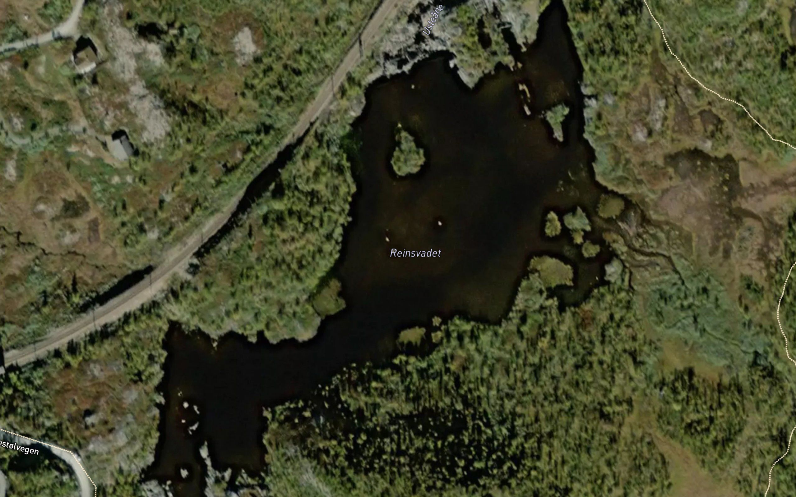 Reinsvadet