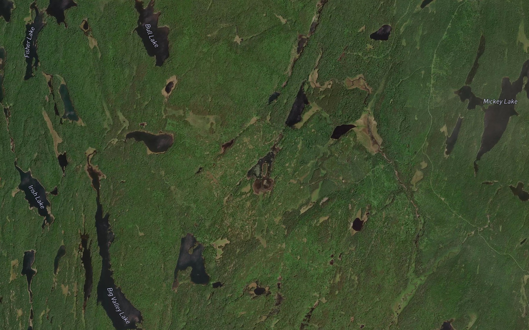 Satellite map of the Loney Lake