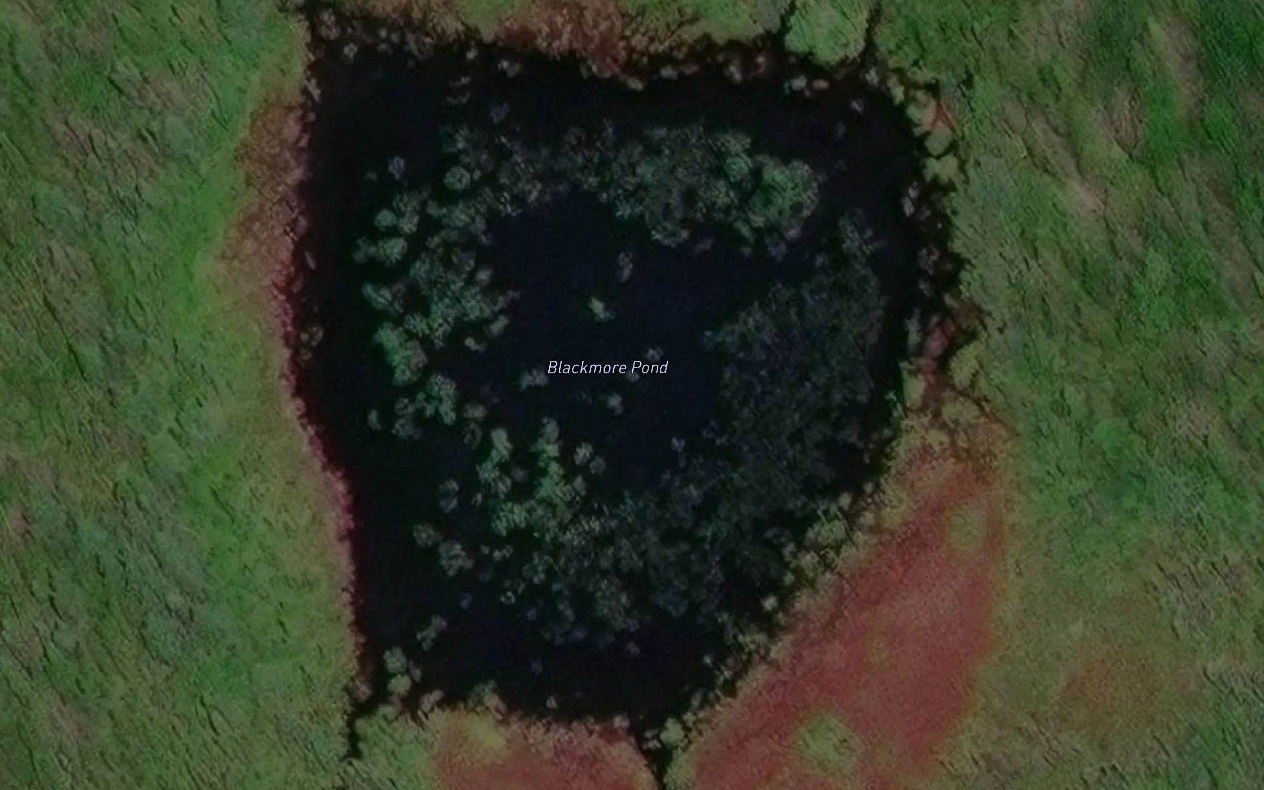 Blackmore Pond