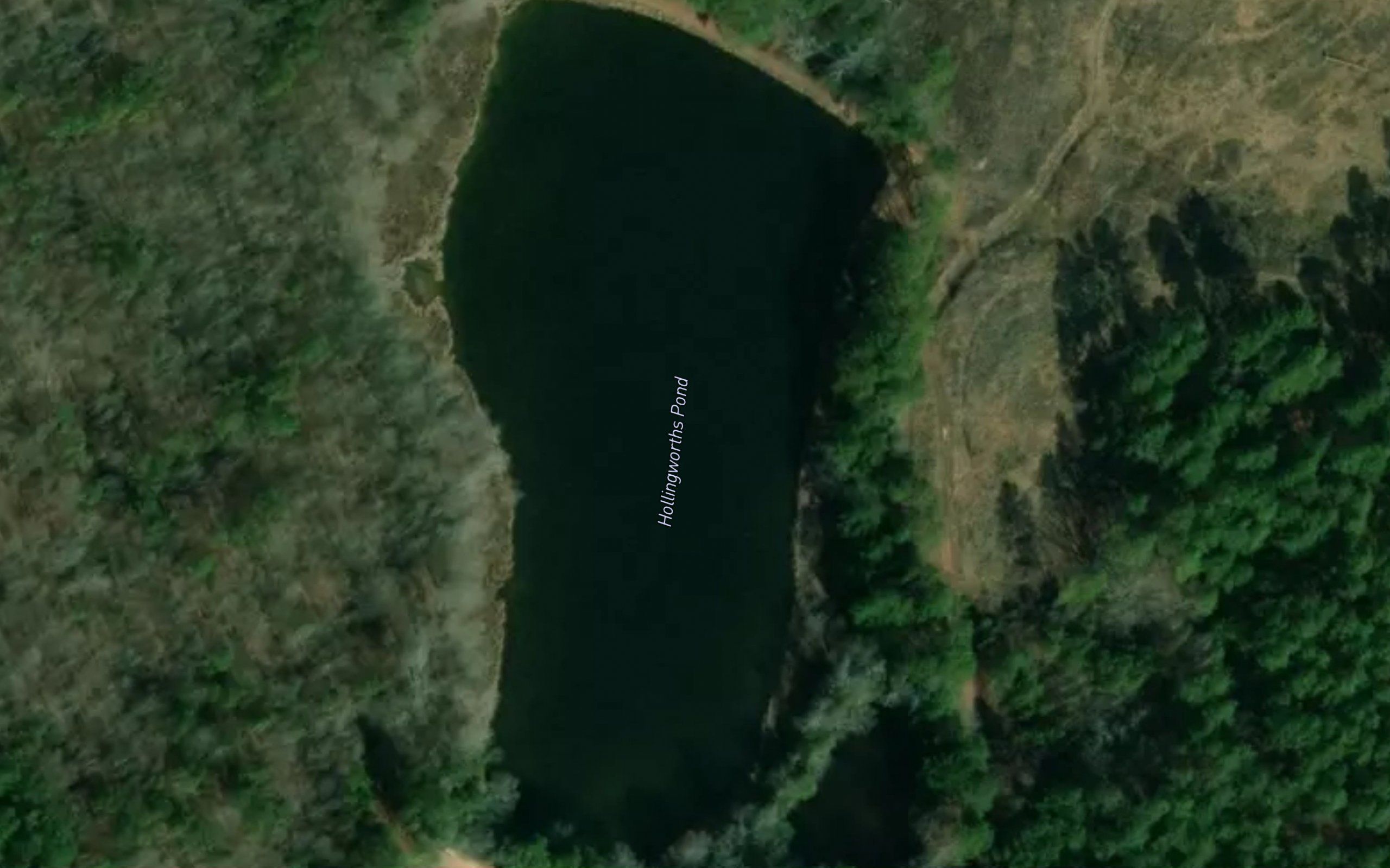 Hollingworths Pond