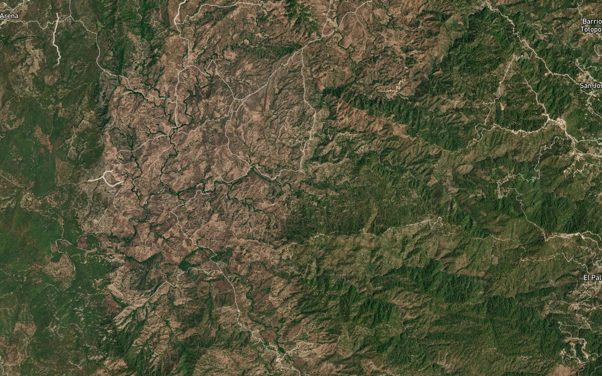 Carrizal