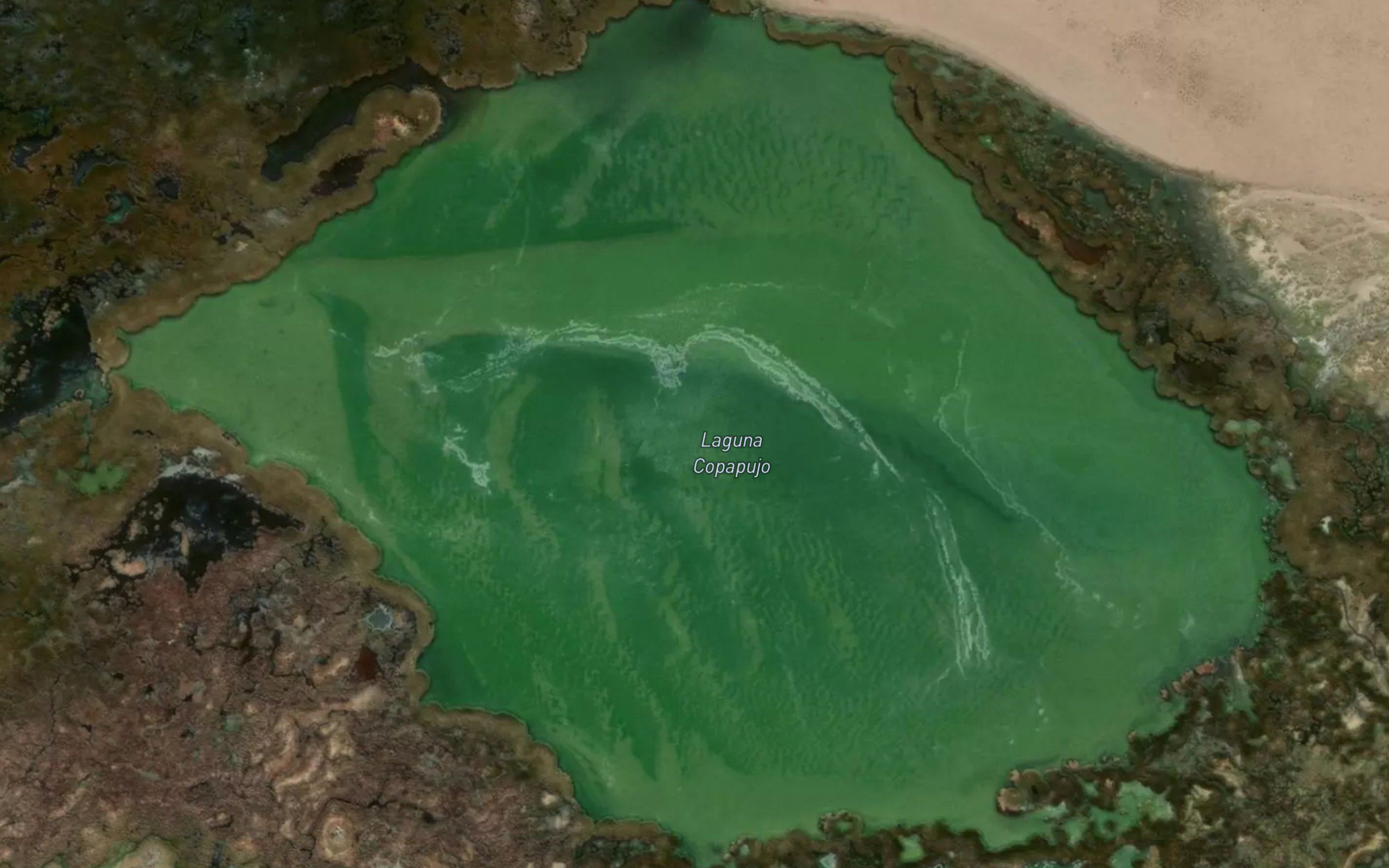 Laguna Copapujo