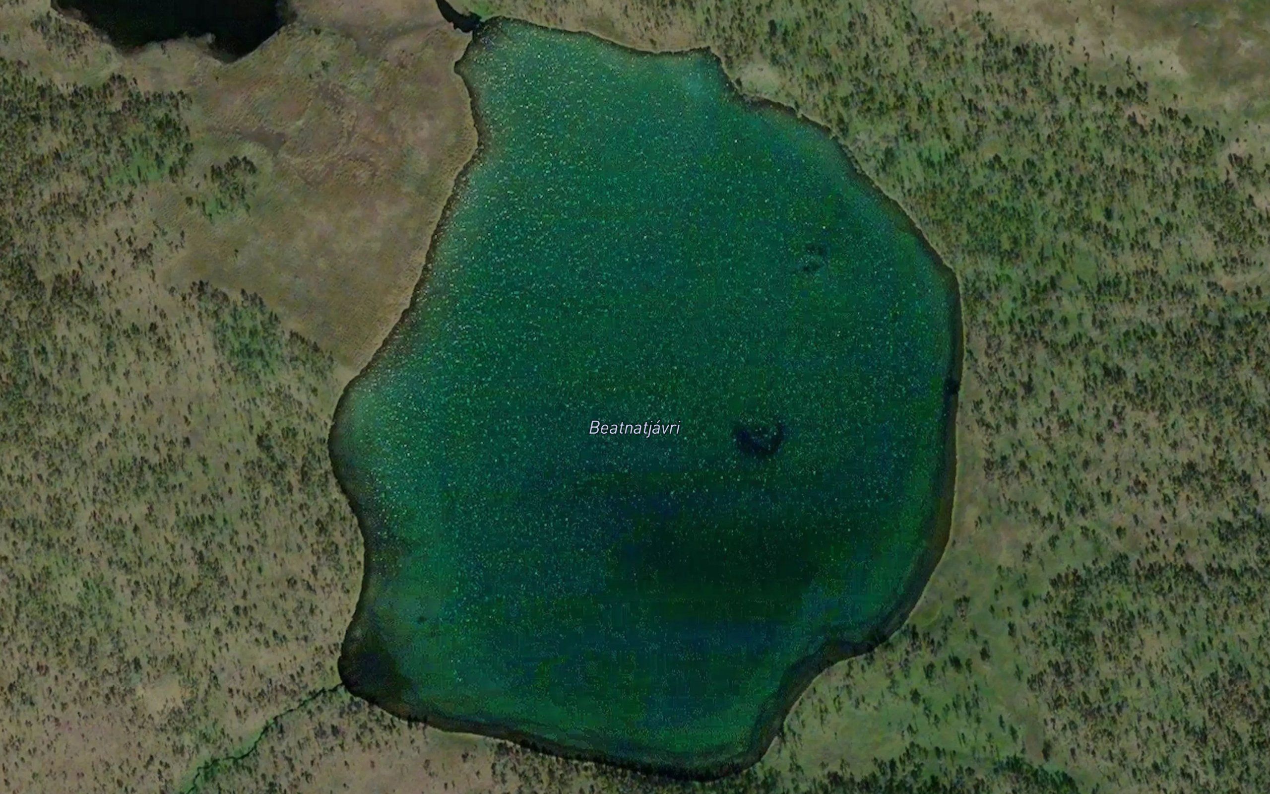Baednatjavri