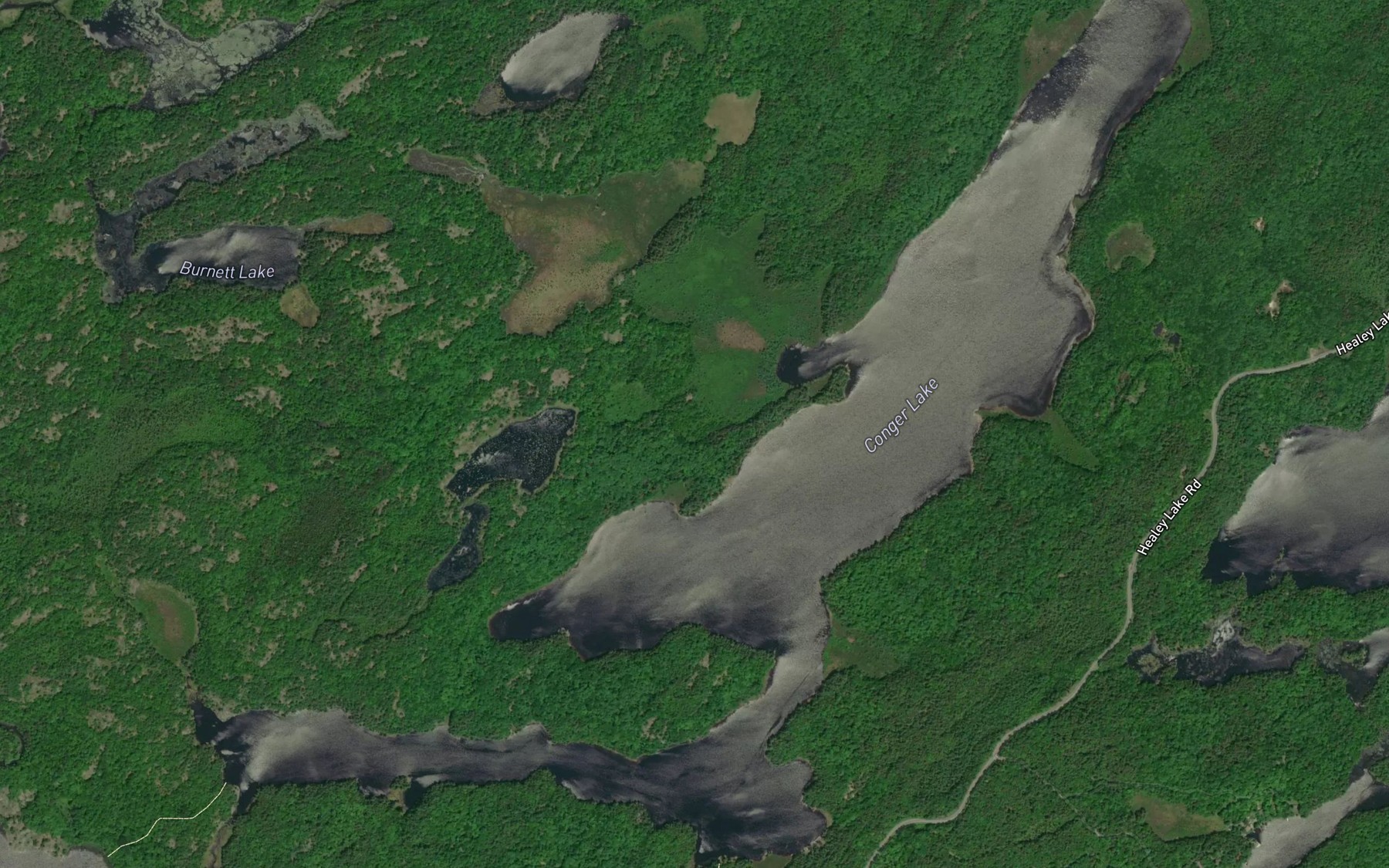 Satellite map of the Conger Lake