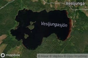 Vesljungasjon