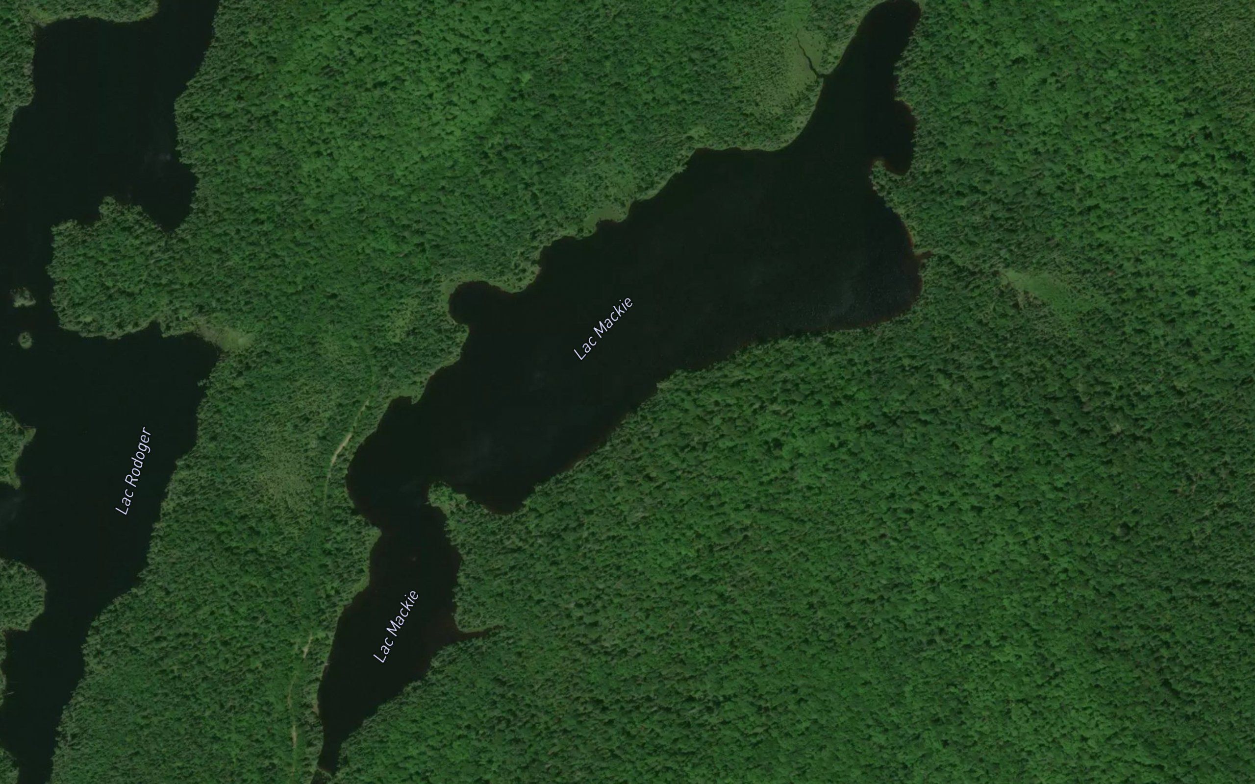 Lac Mackie
