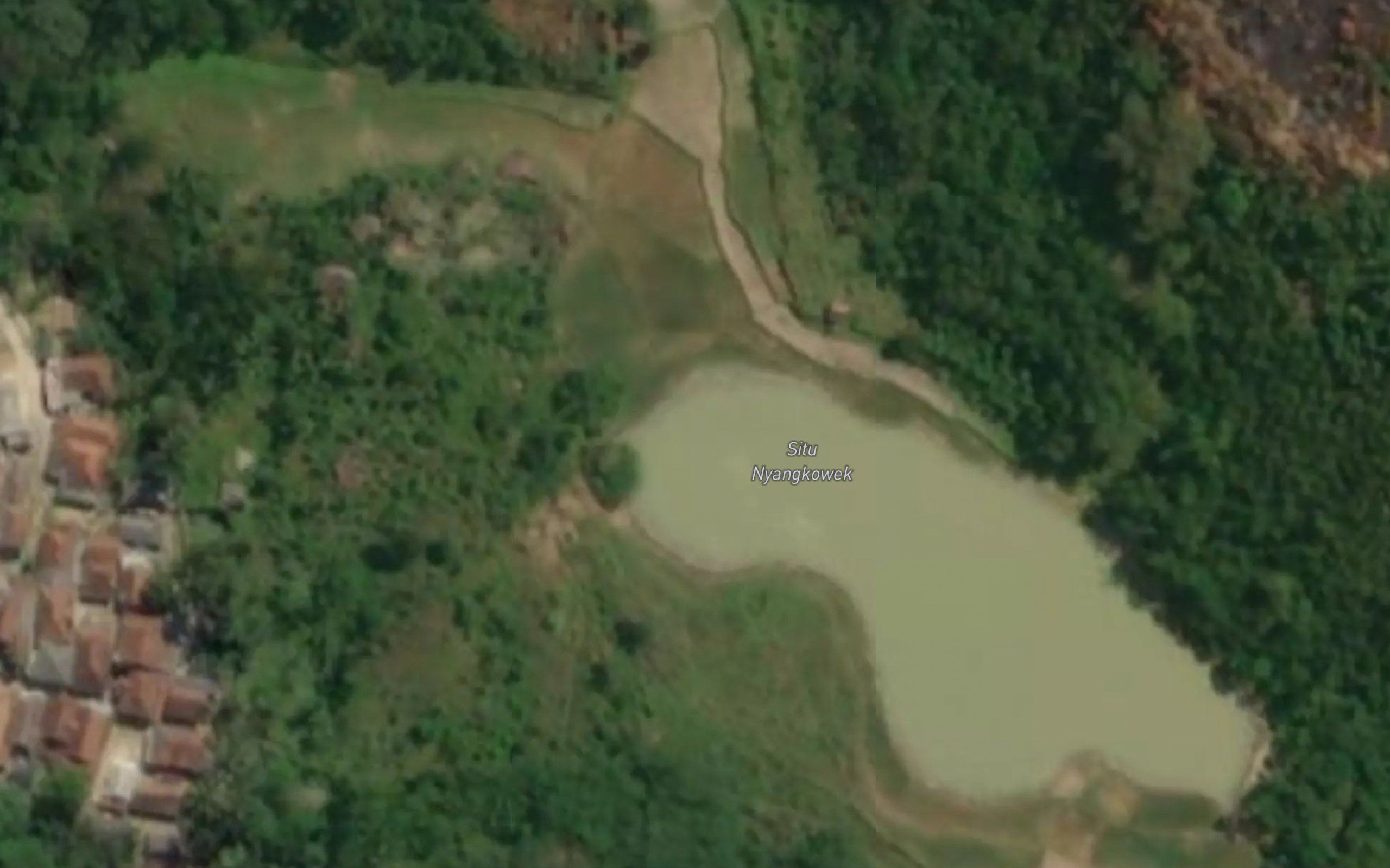 Situ Paranje