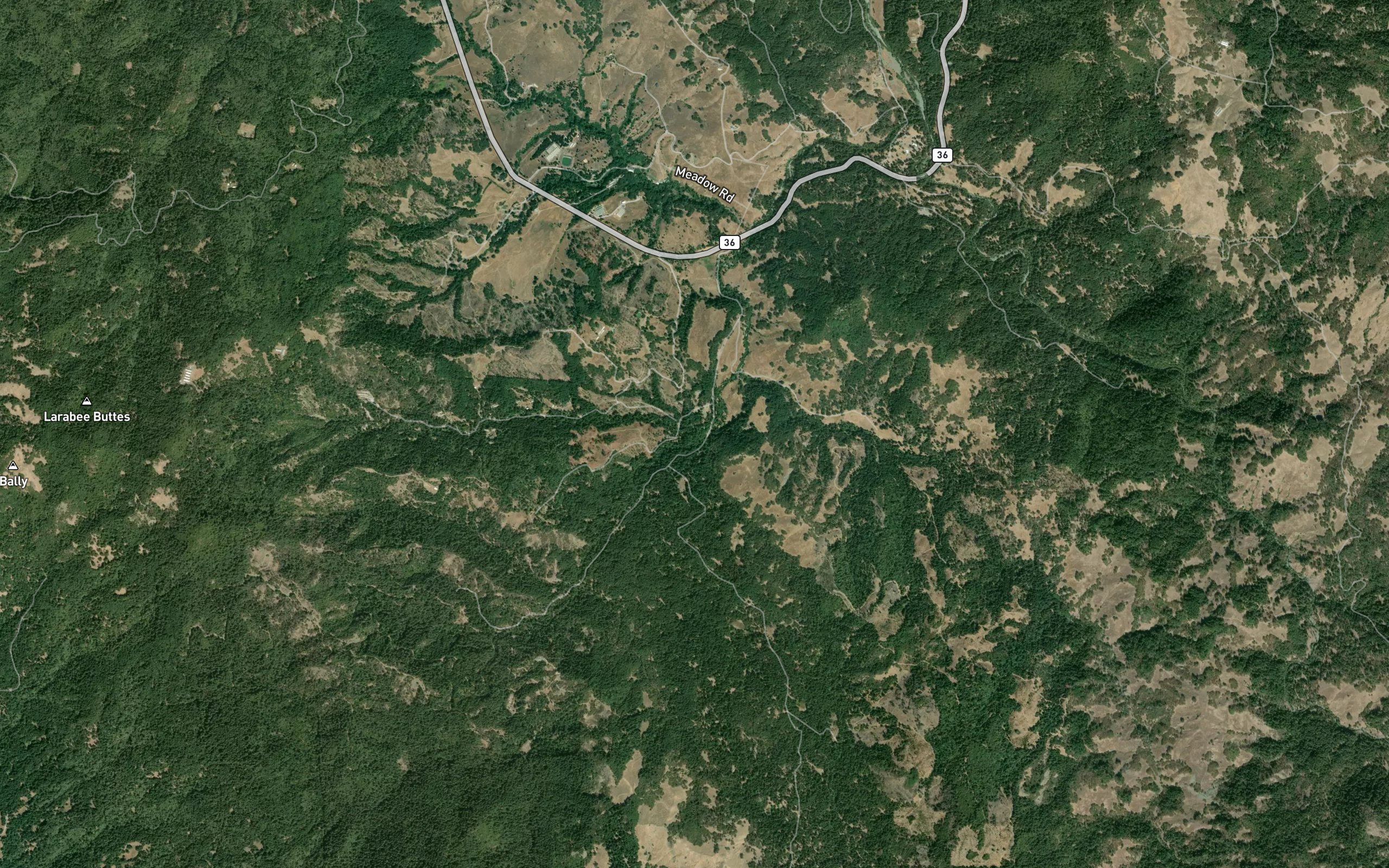 Mule Creek
