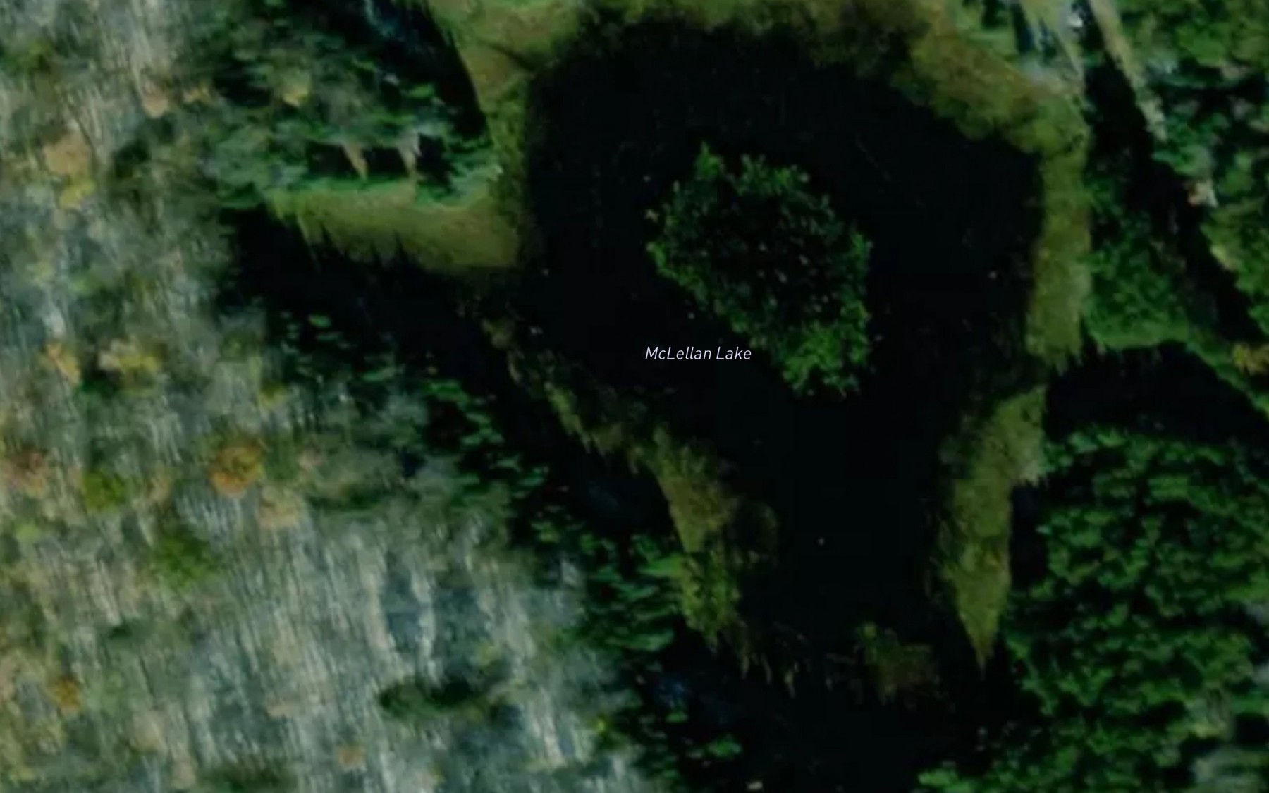 Satellite map of the McLellan Lake