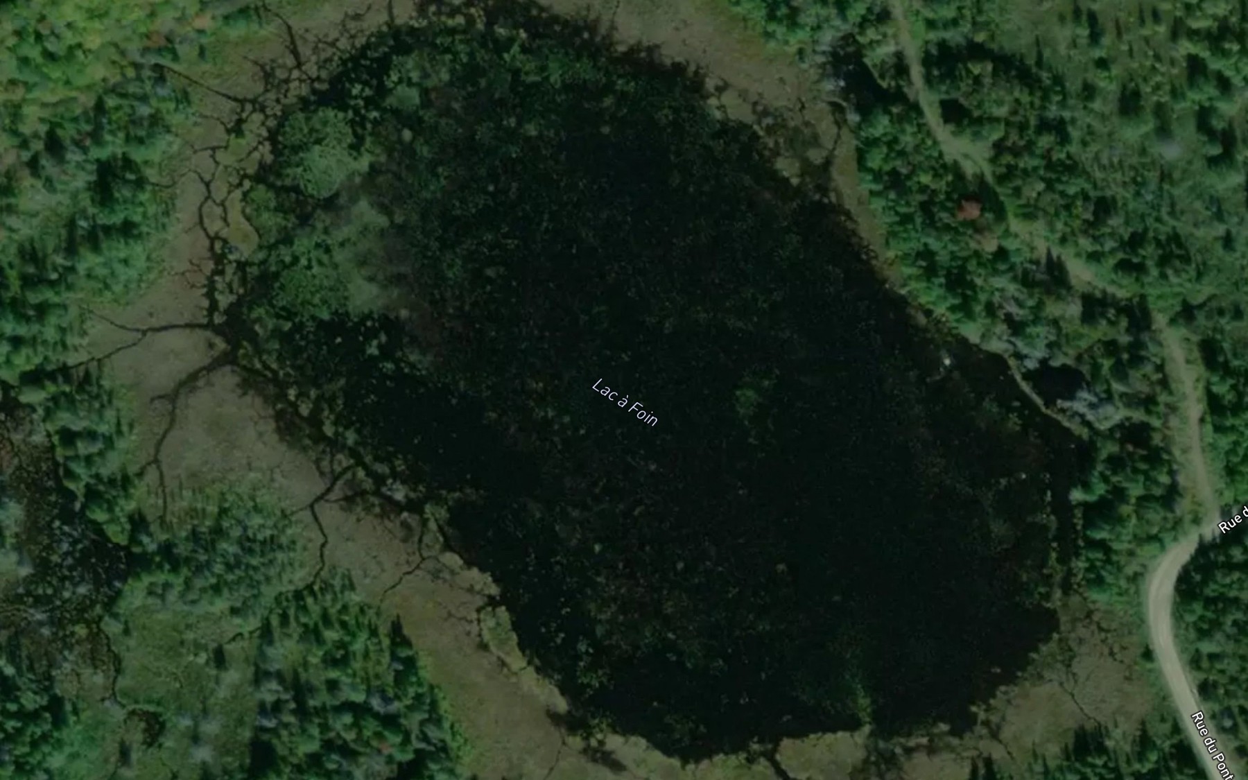 Satellite map of the Lac a Foin