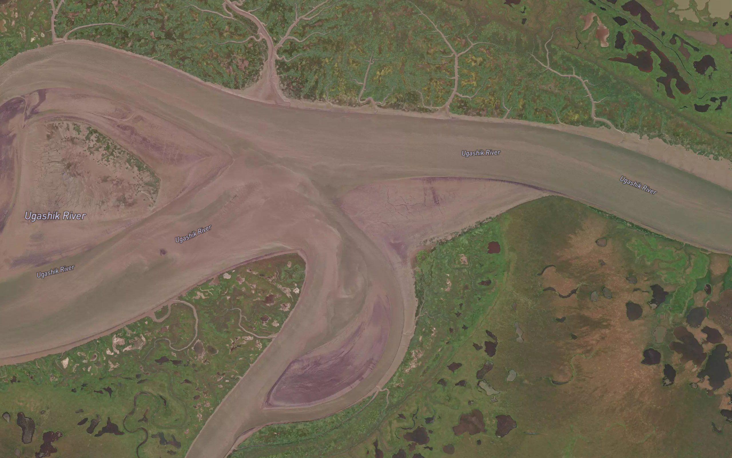 Dog Salmon River