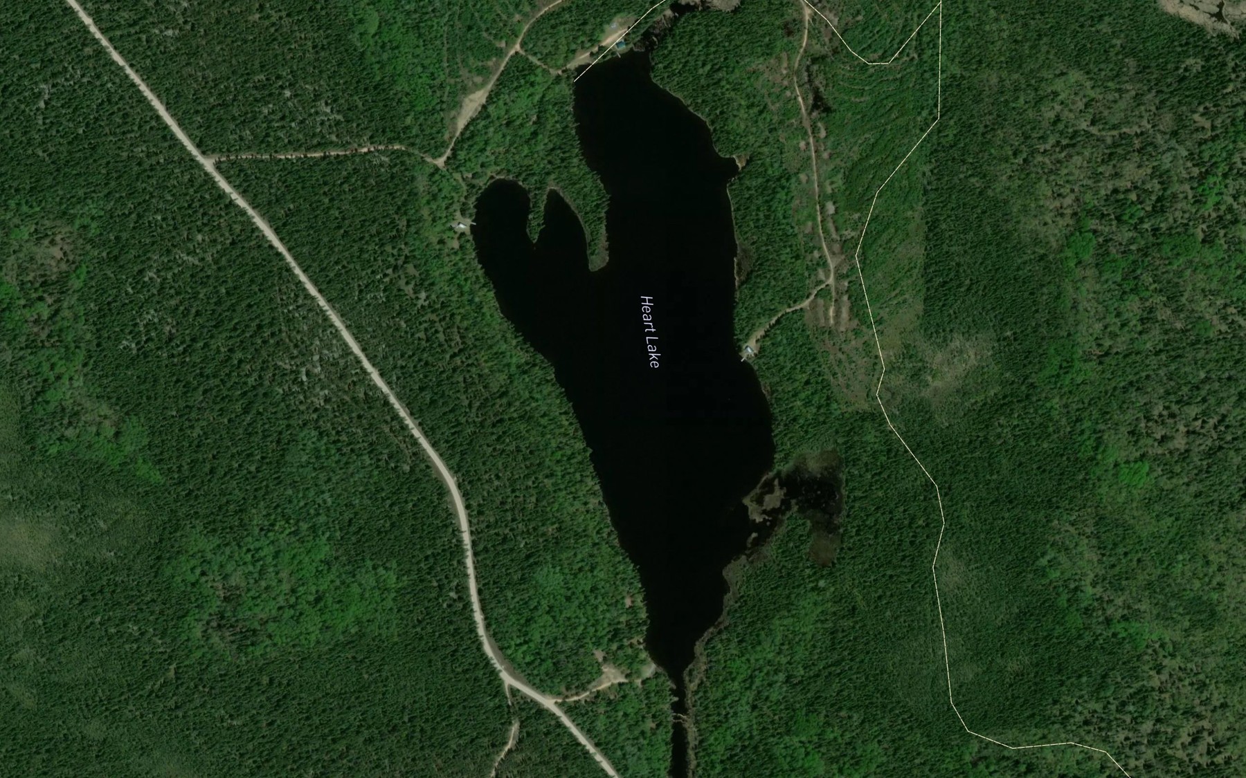 Satellite map of the Heart Lake