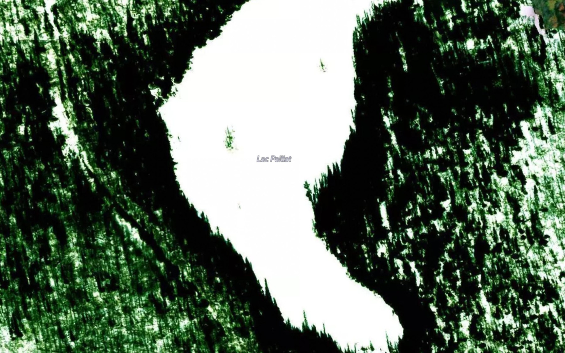 Satellite map of the Lac Paillat