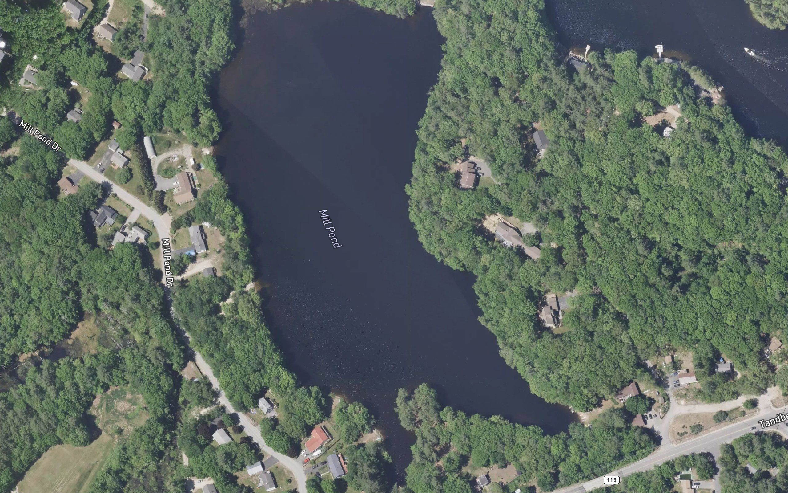 Mill Pond