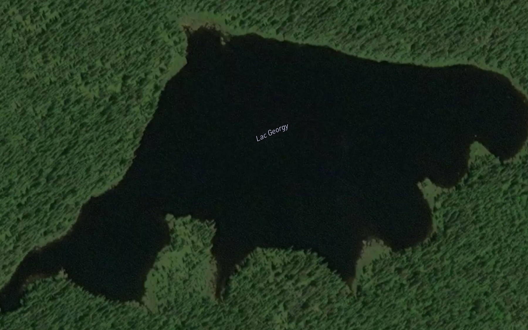 Satellite map of the Lac Georgy