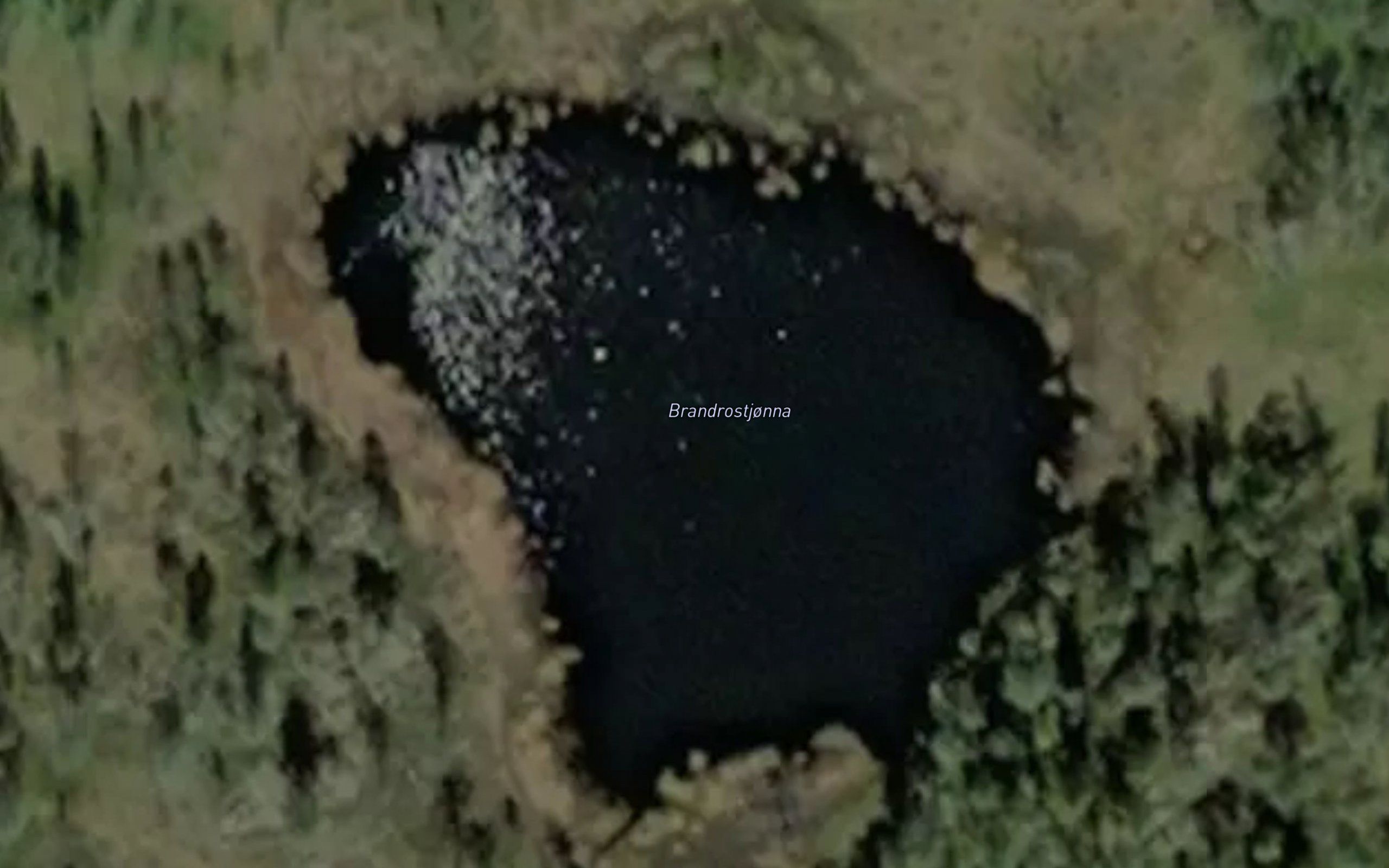 Brandrostjorna