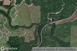 White Pine Creek
