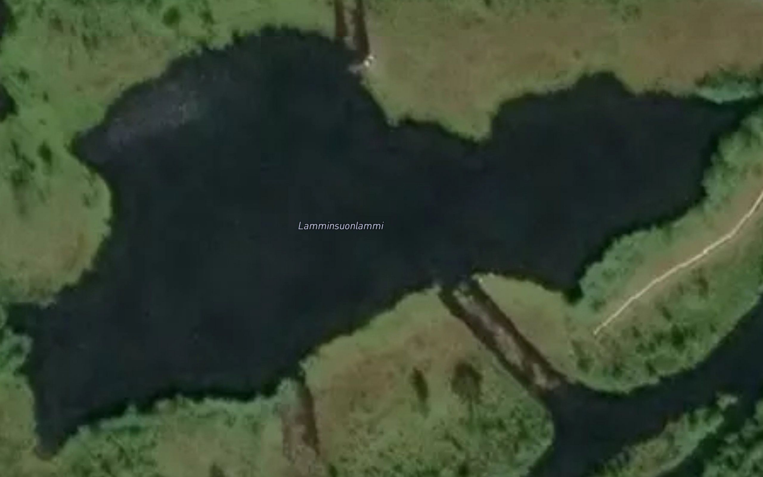 Lamminsuonlammi