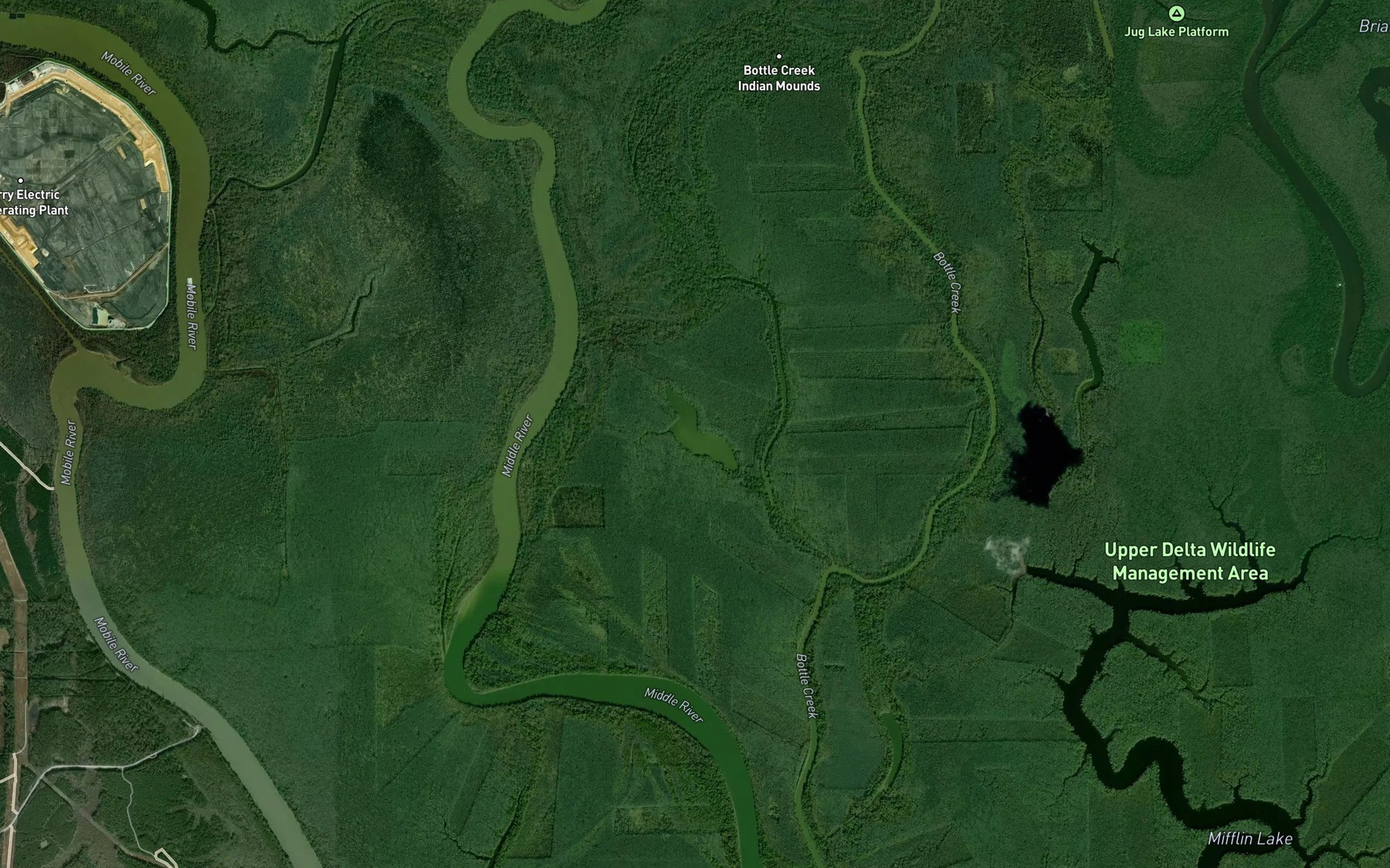 Satellite map of the Alligator Lake