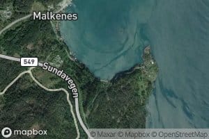 Solsvika