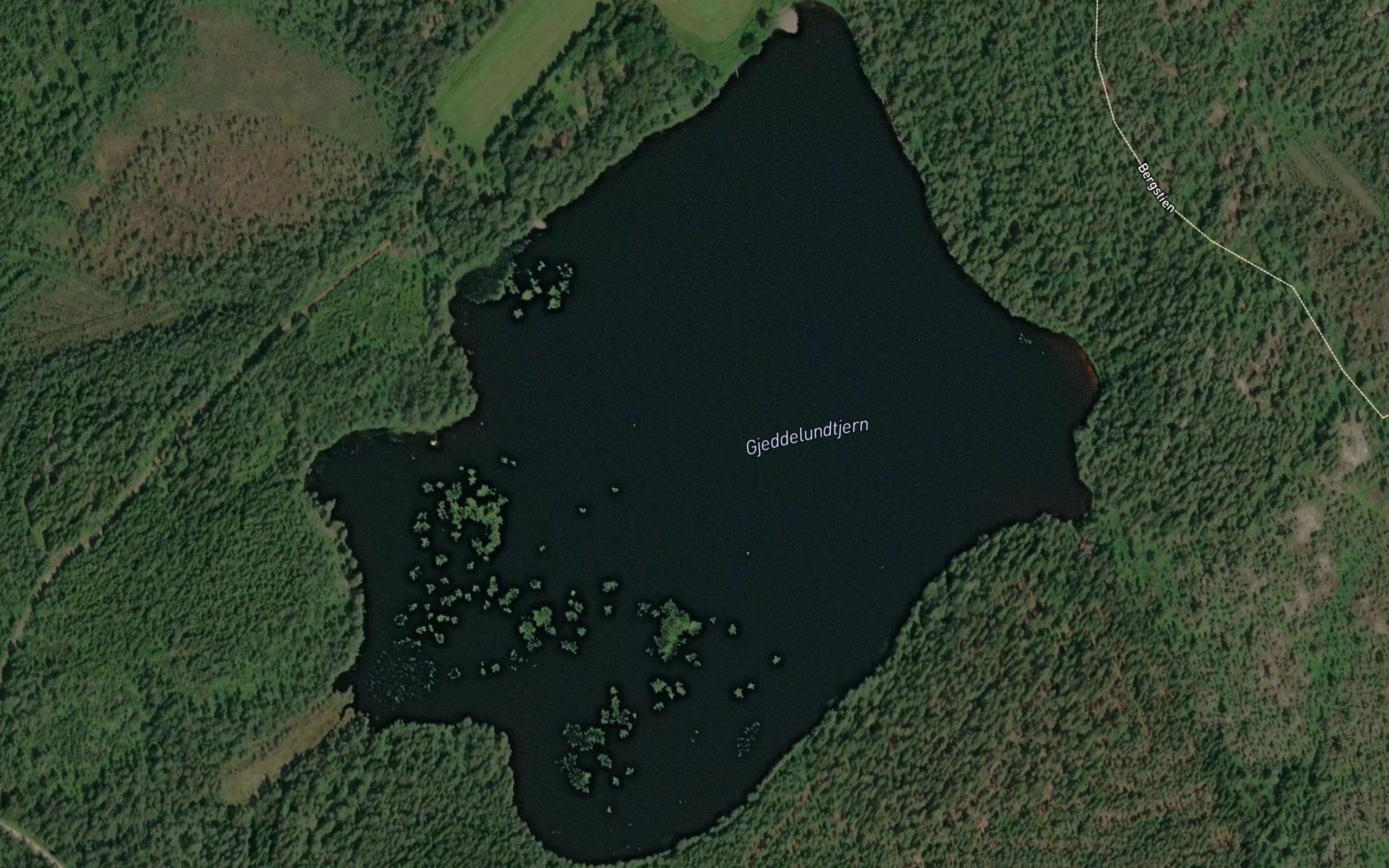 Gjeddelundtjernet