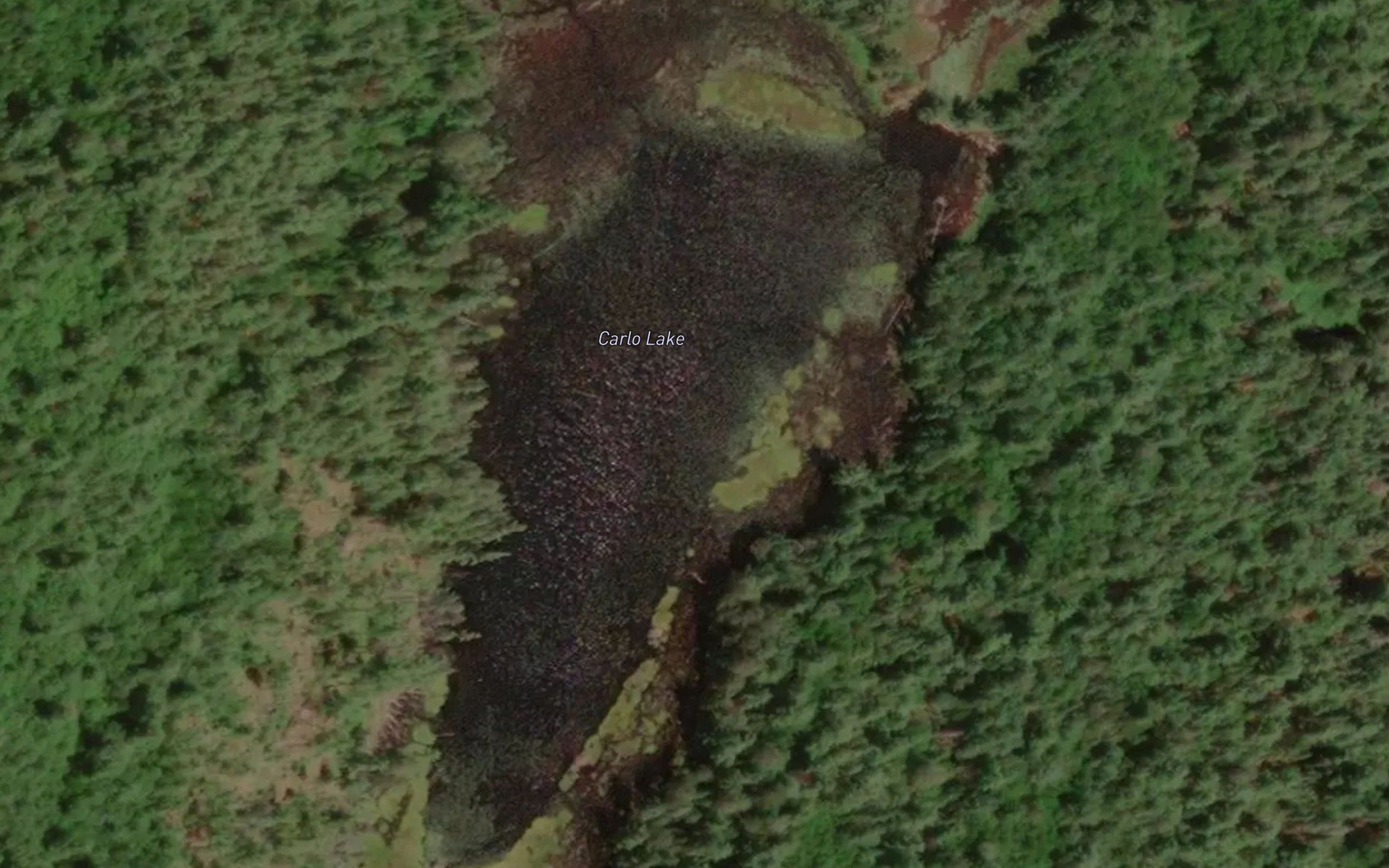 Carlo Lake