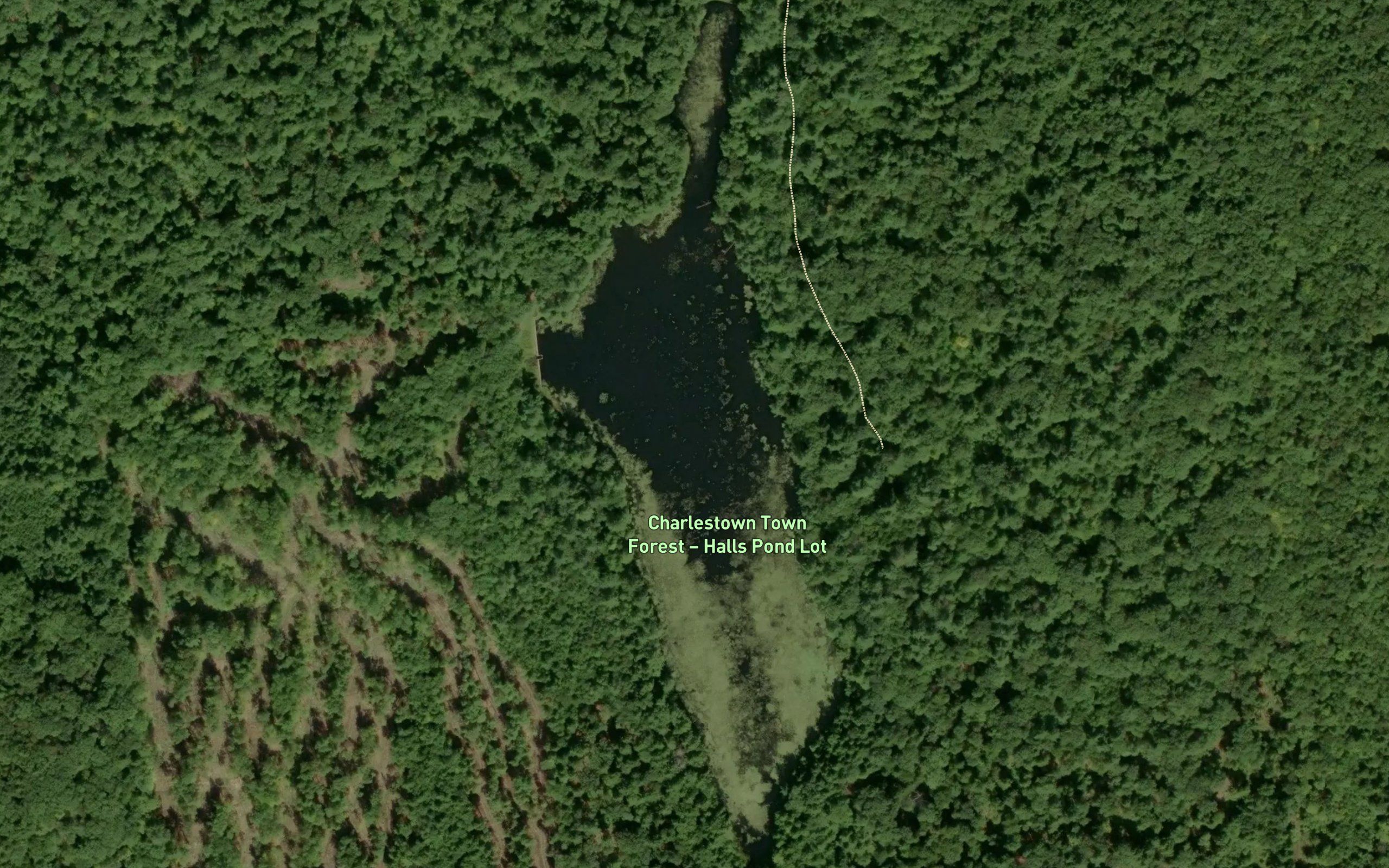 Hall Pond