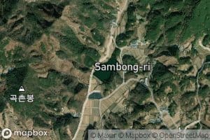 Samyangjeosuji