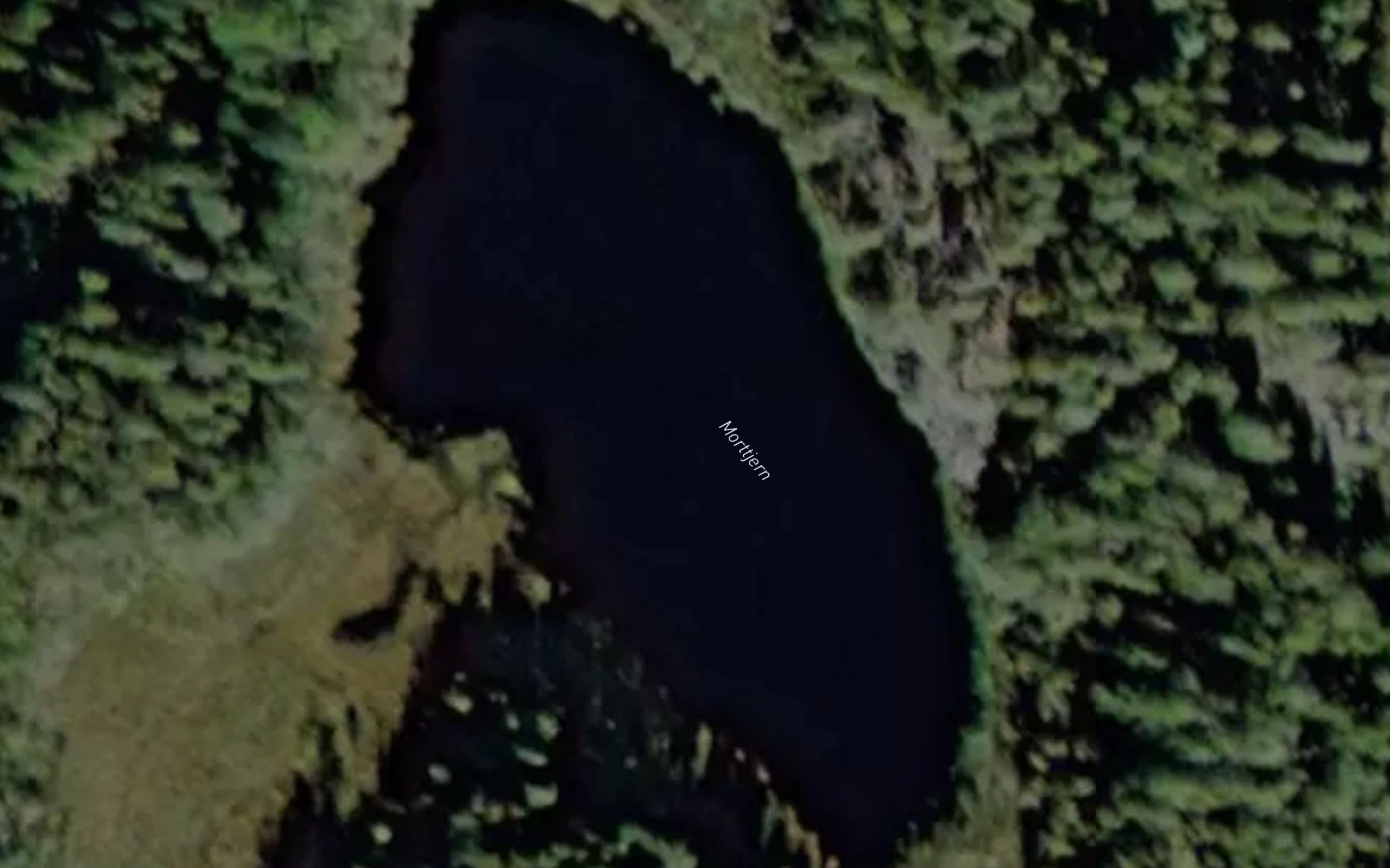 Morttjern
