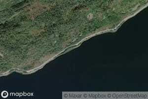 Porkvika