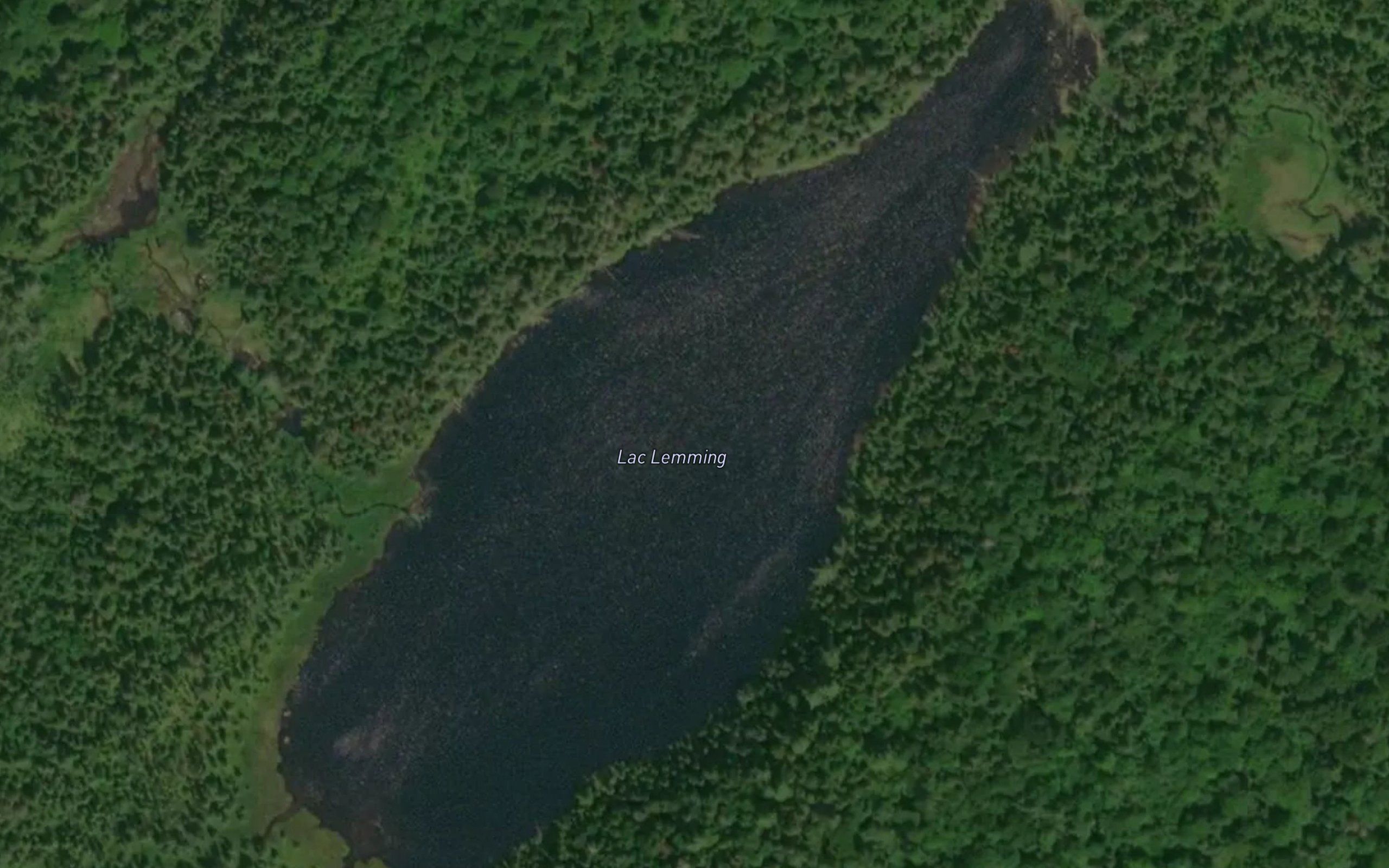 Lac Lemming